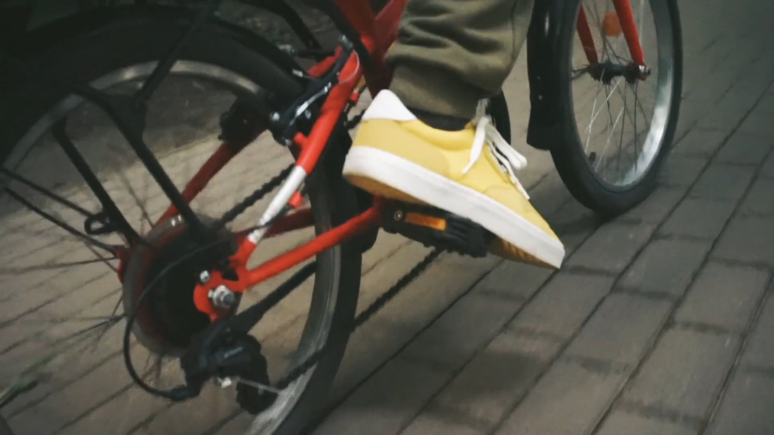 Лёша, лес и велосипед. Марковы: фото, видео, кино и книги