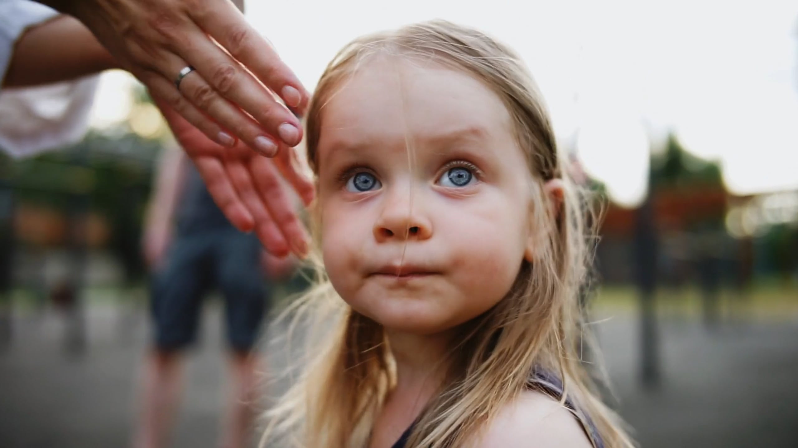 Не хотю!!!. Марковы: фото, видео, кино и книги