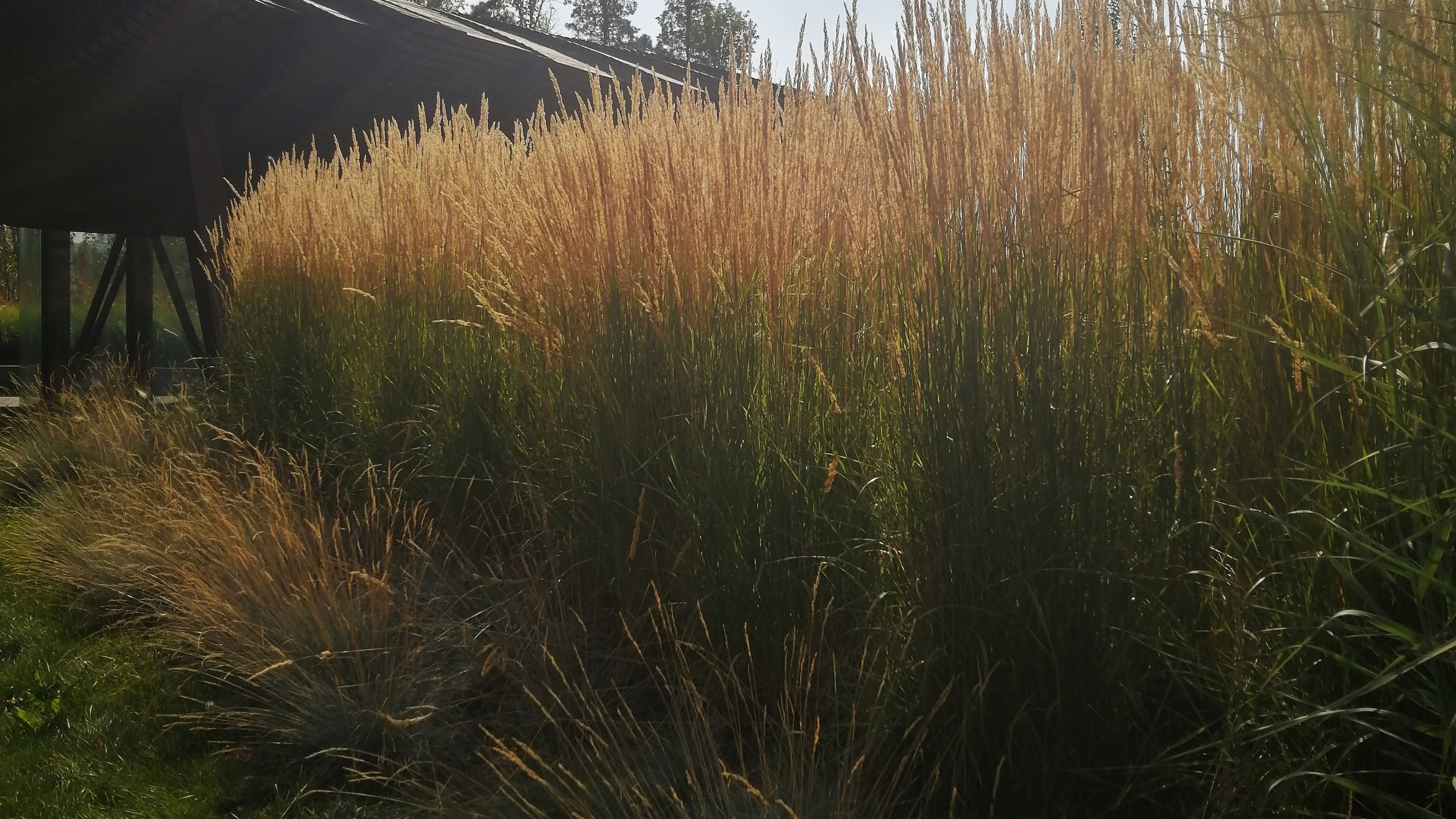 2. МЕСТА. Екатерина Макарова Фотограф Москва