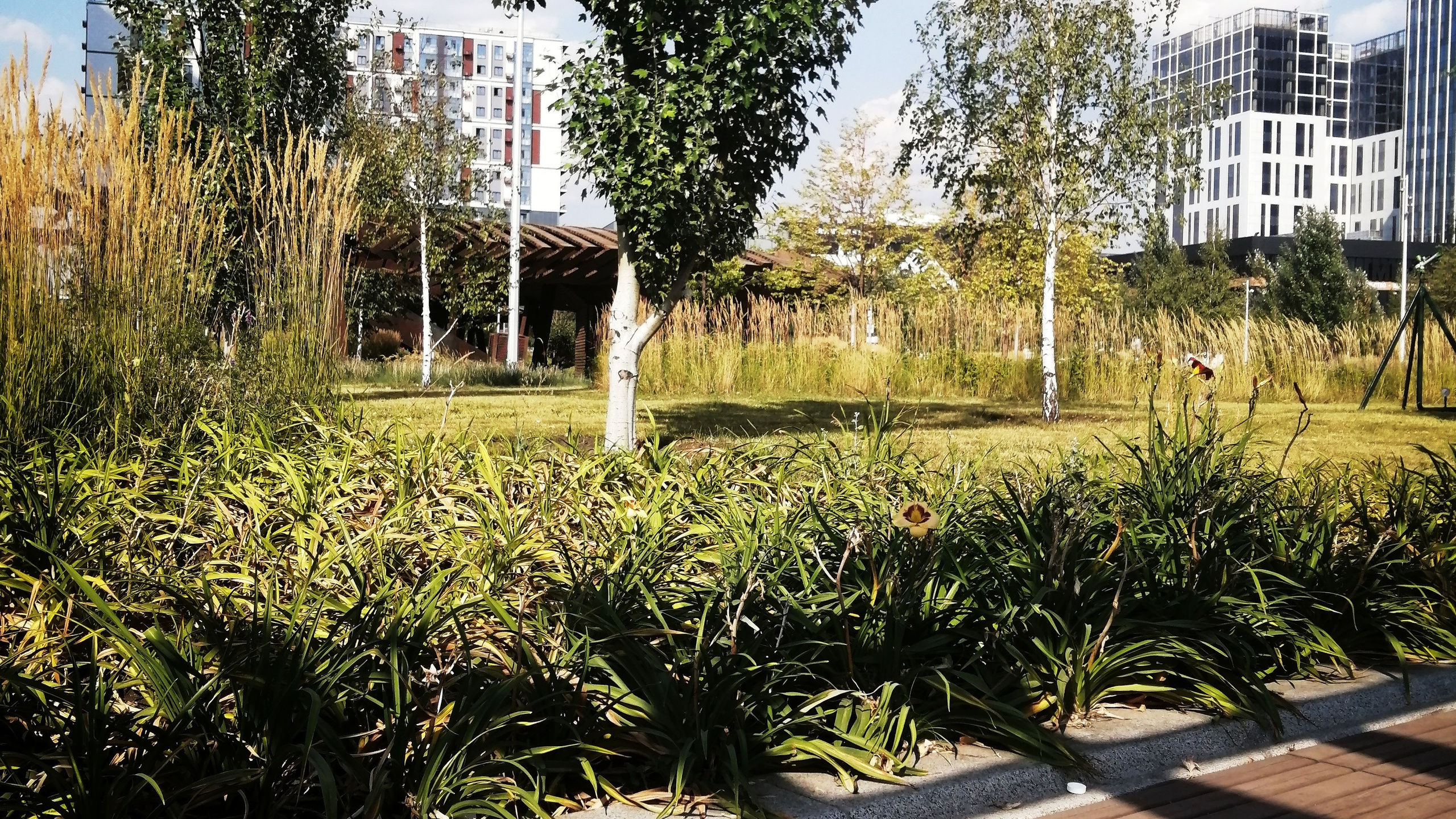 2. МЕСТА. Екатерина Макарова Фотограф Москва