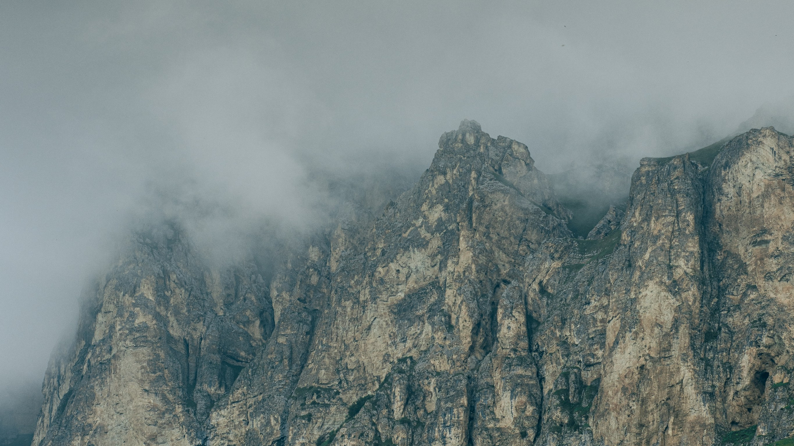 Кавказ'23. Danny Morgunovsky