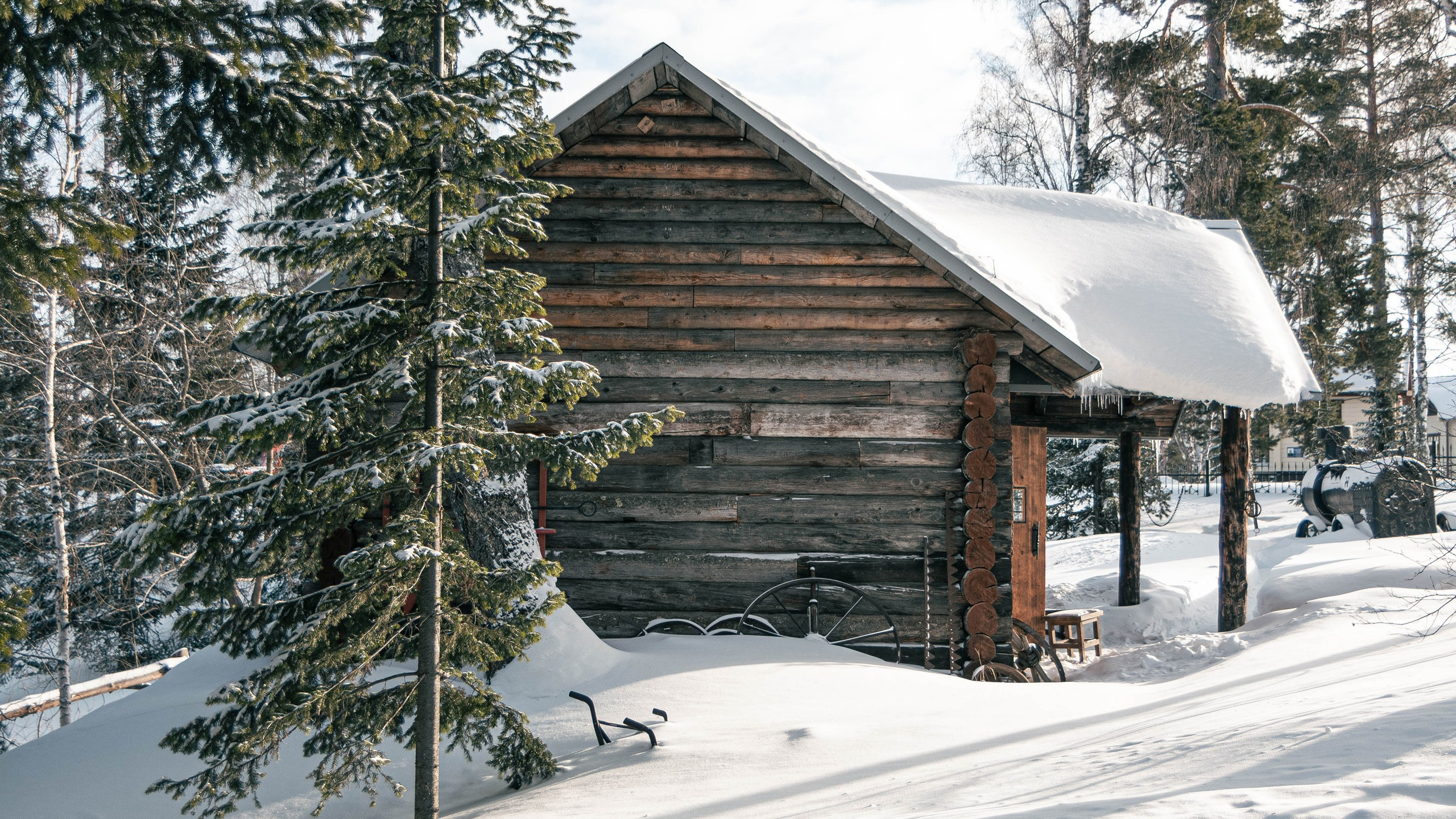 Алтай'21. Danny Morgunovsky