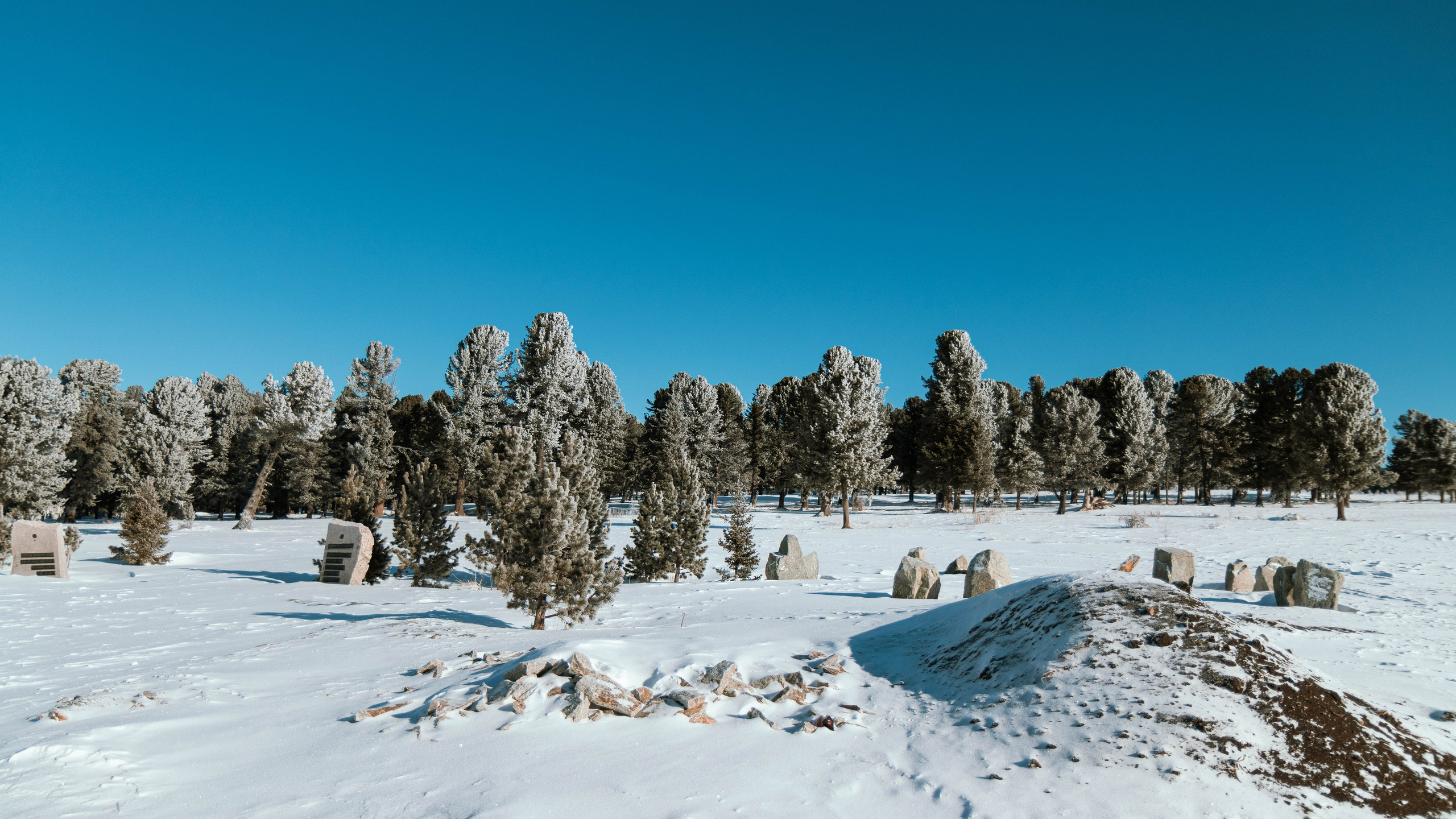 Алтай'21. Danny Morgunovsky