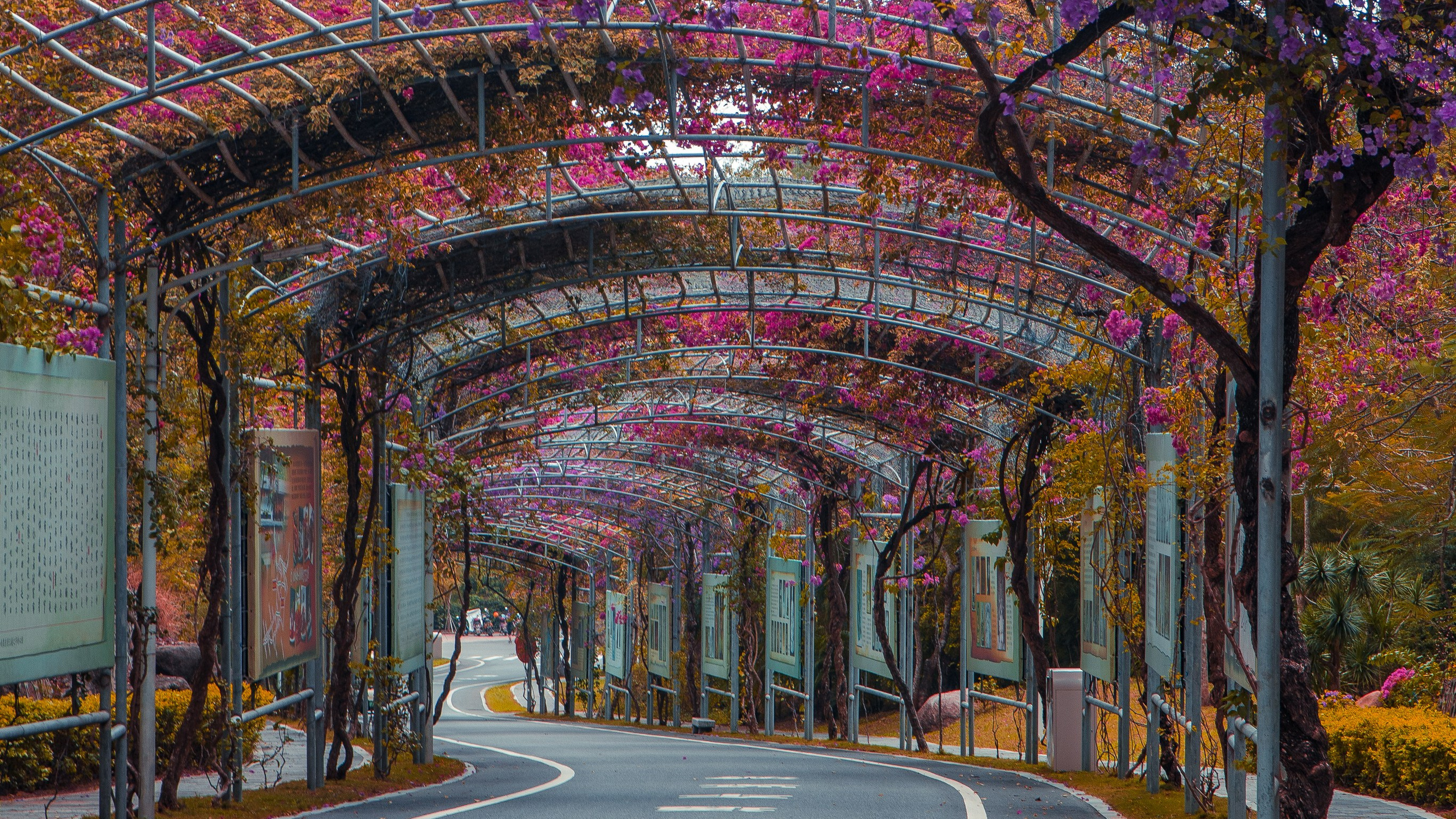 Китай'20. Danny Morgunovsky