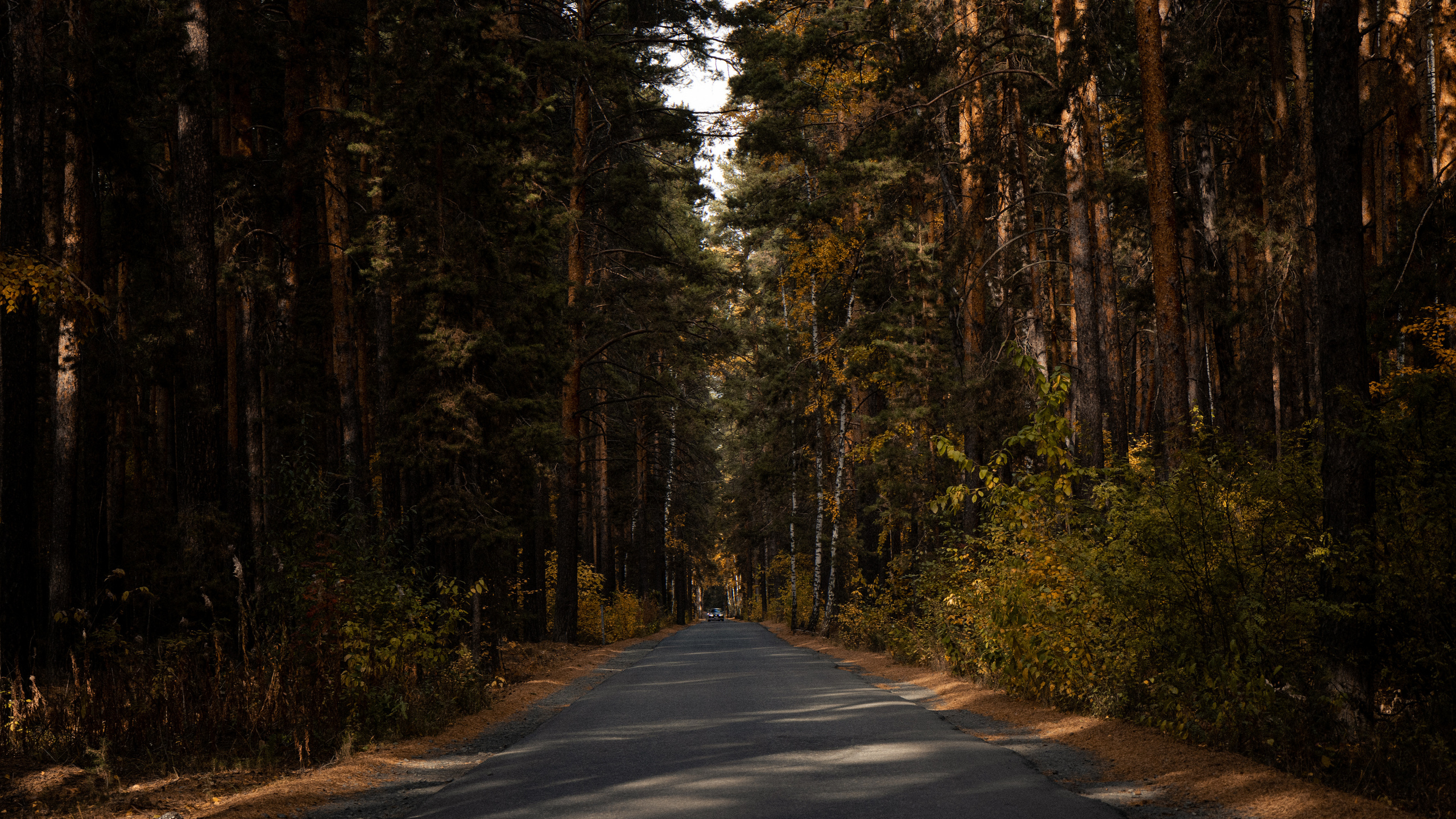 Природа. Danny Morgunovsky