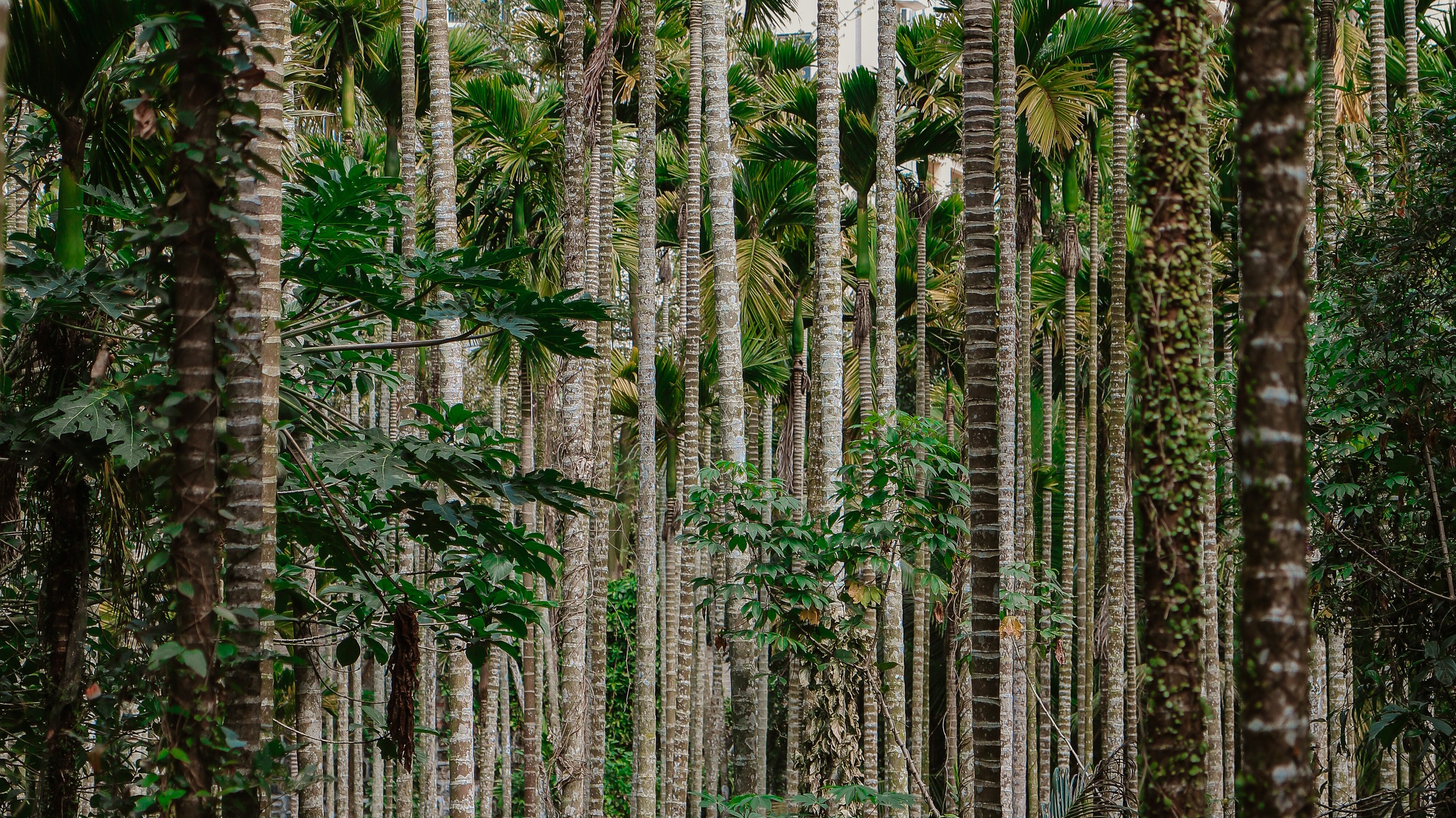 Китай'20. Danny Morgunovsky