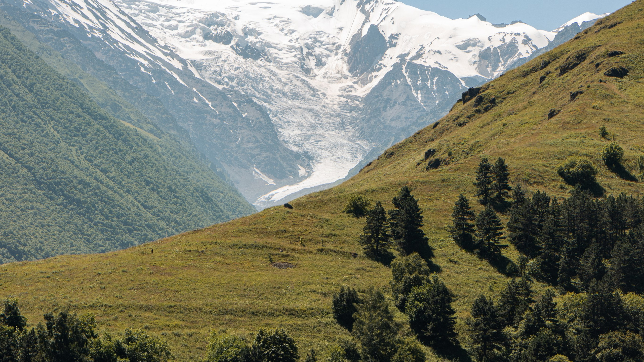 Природа. Danny Morgunovsky