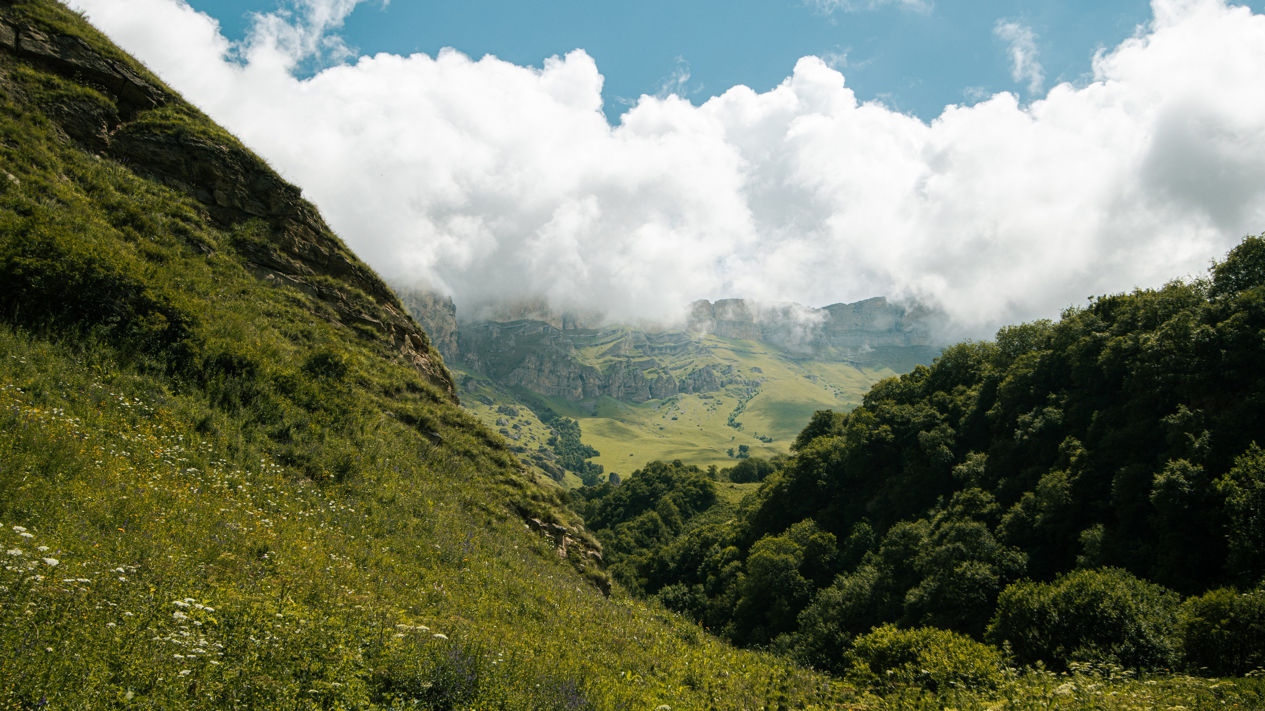 Кавказ'23. Danny Morgunovsky