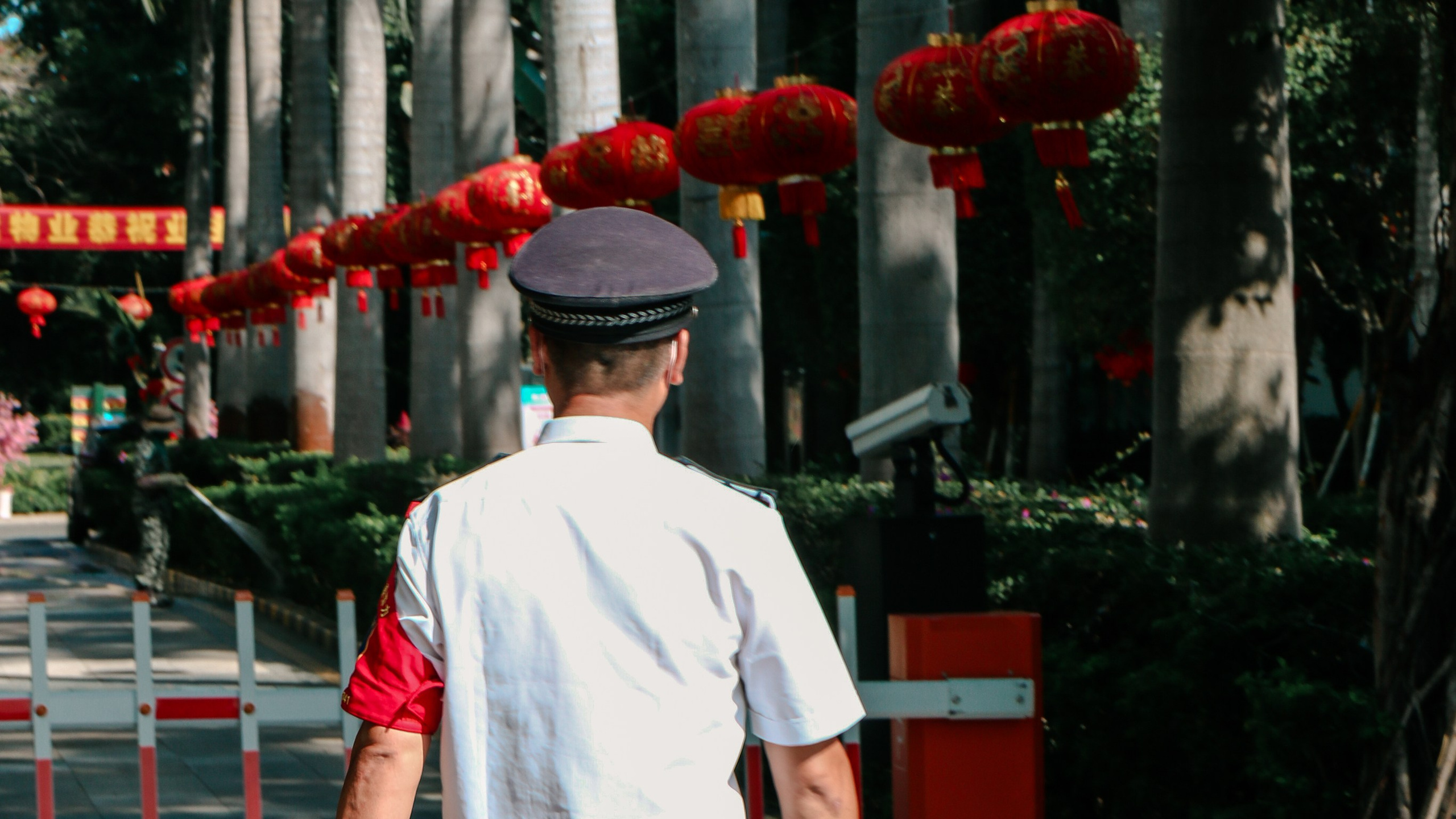 Китай'20. Danny Morgunovsky