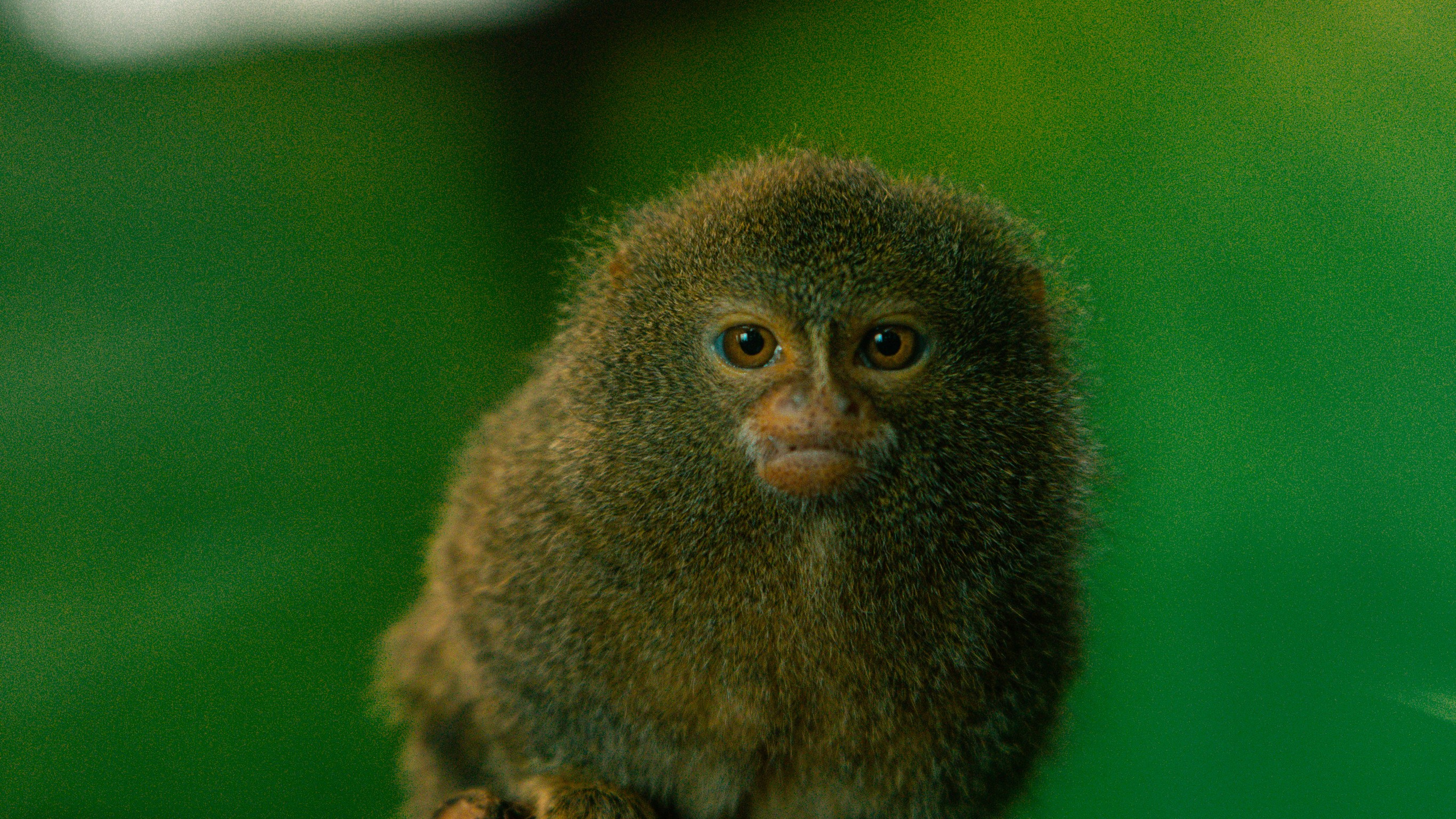 Геленджик'22. Danny Morgunovsky