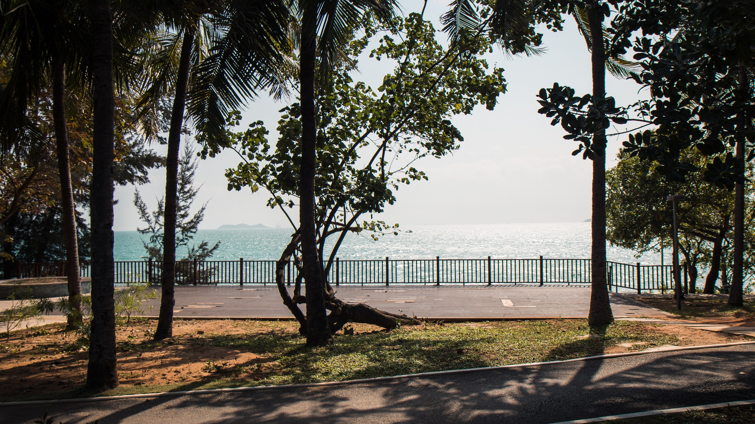 Китай'20. Danny Morgunovsky