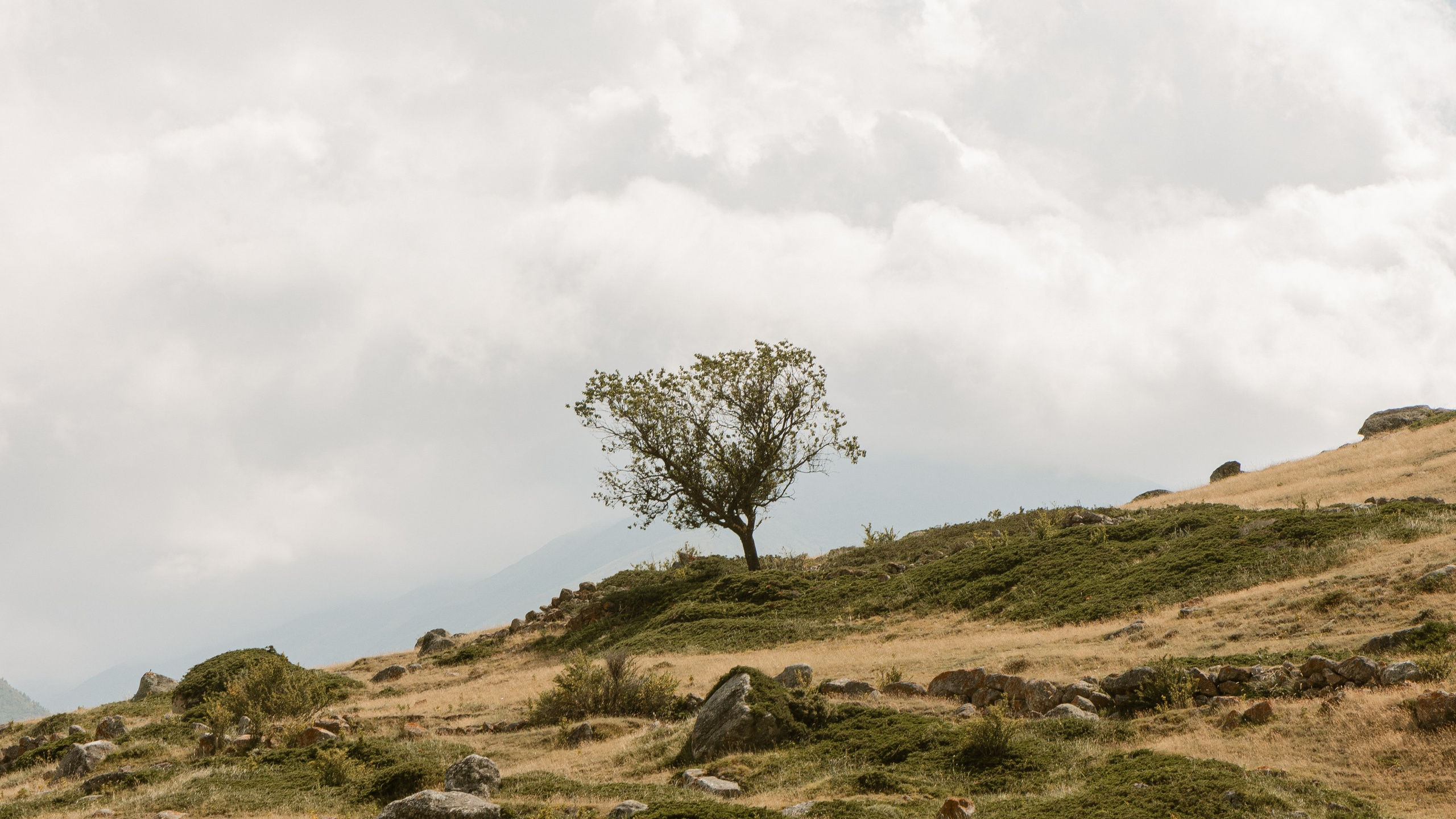 Природа. Danny Morgunovsky