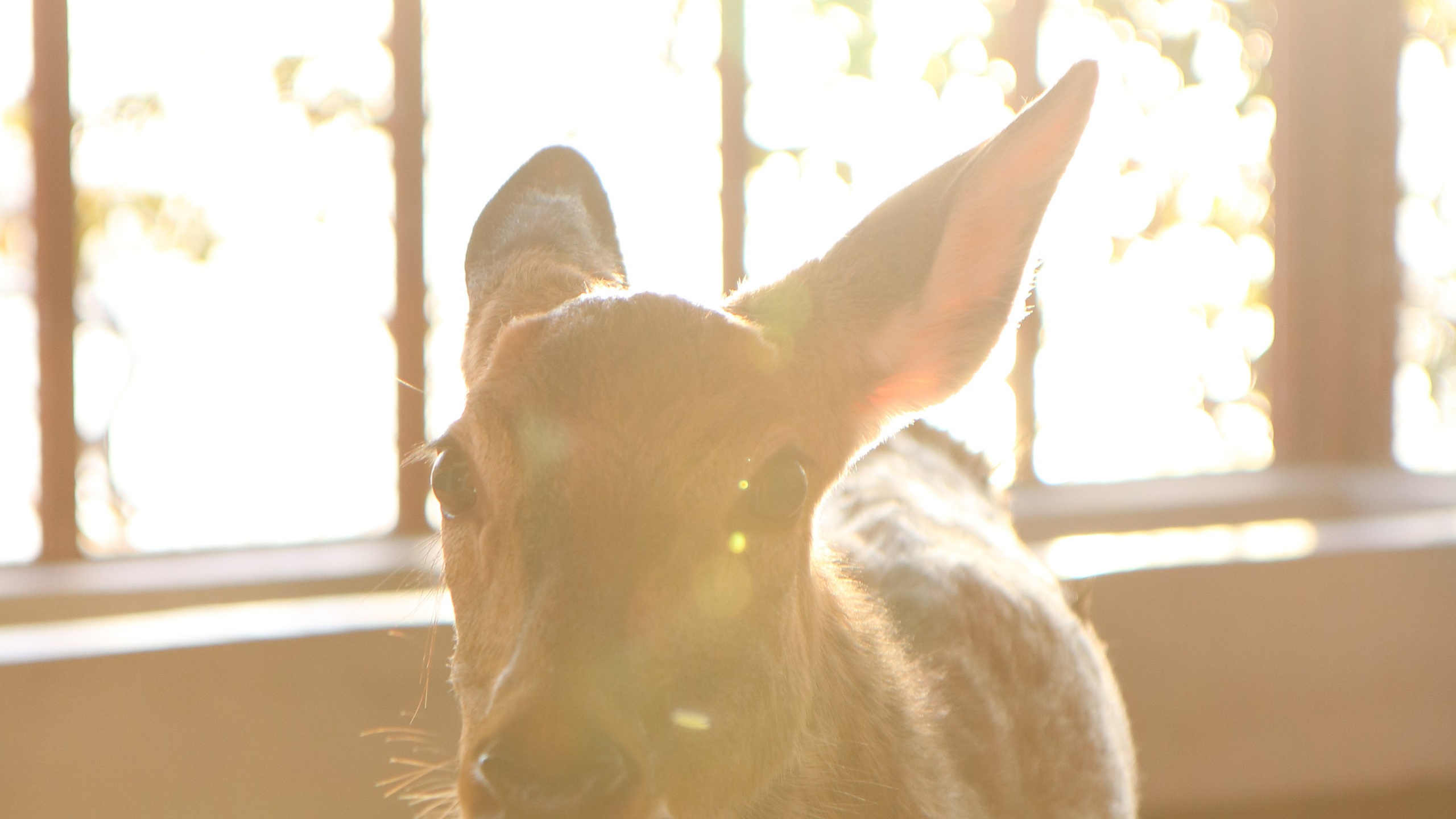 Китай'20. Danny Morgunovsky