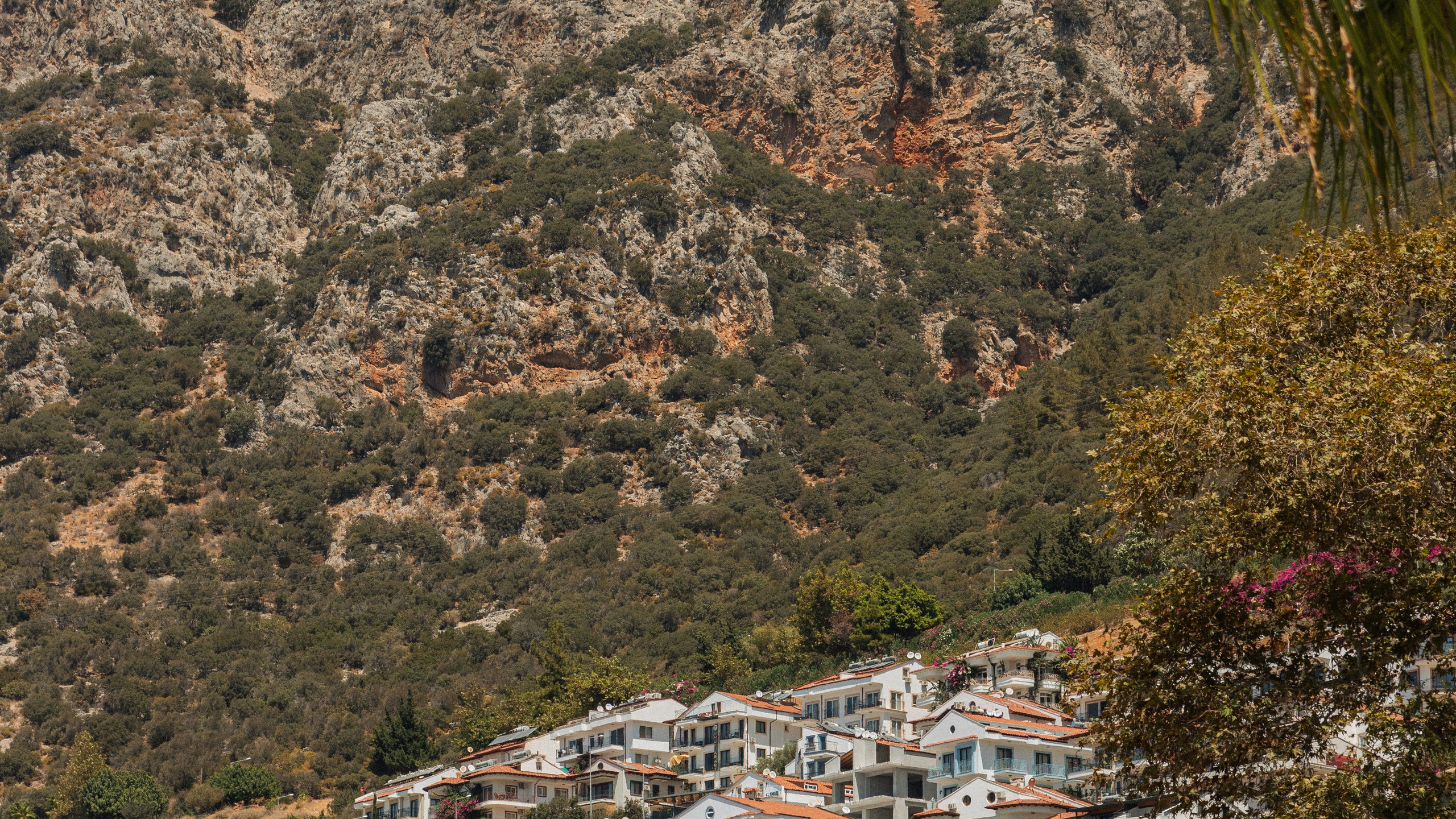 Турция'24. Danny Morgunovsky