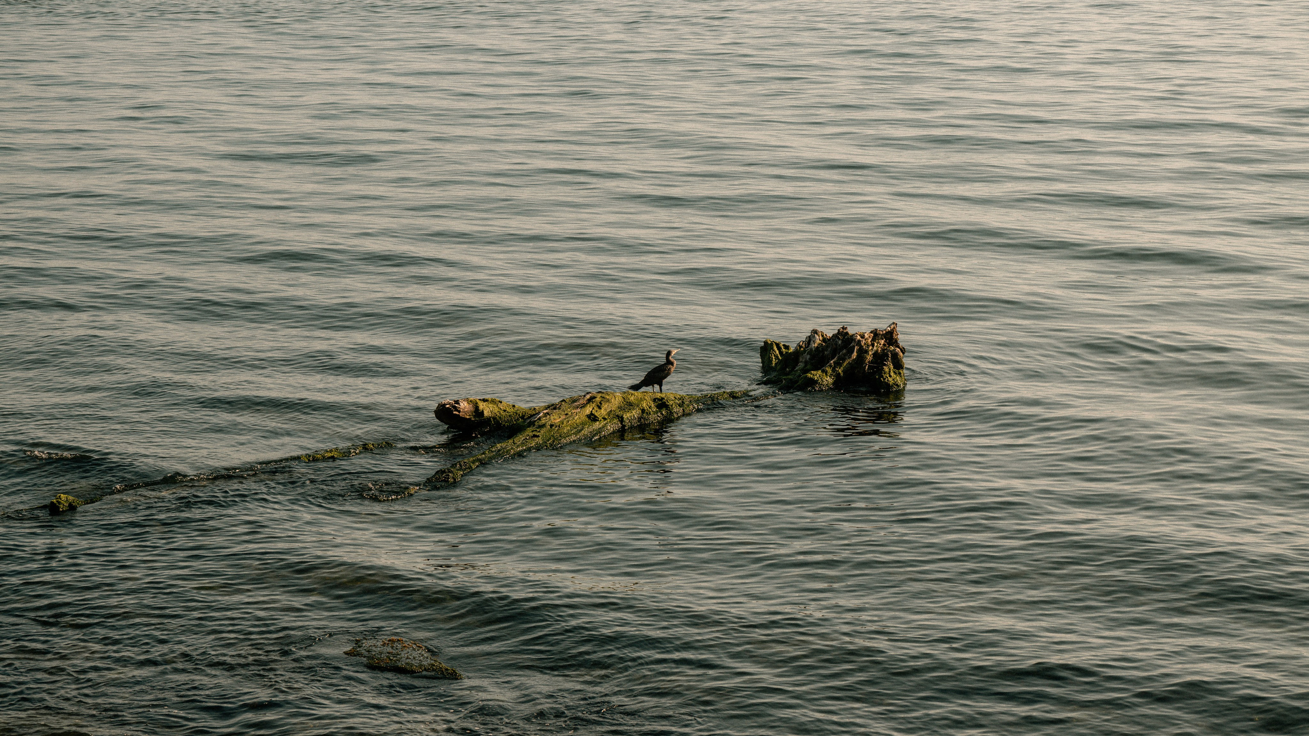 Геленджик'22. Danny Morgunovsky