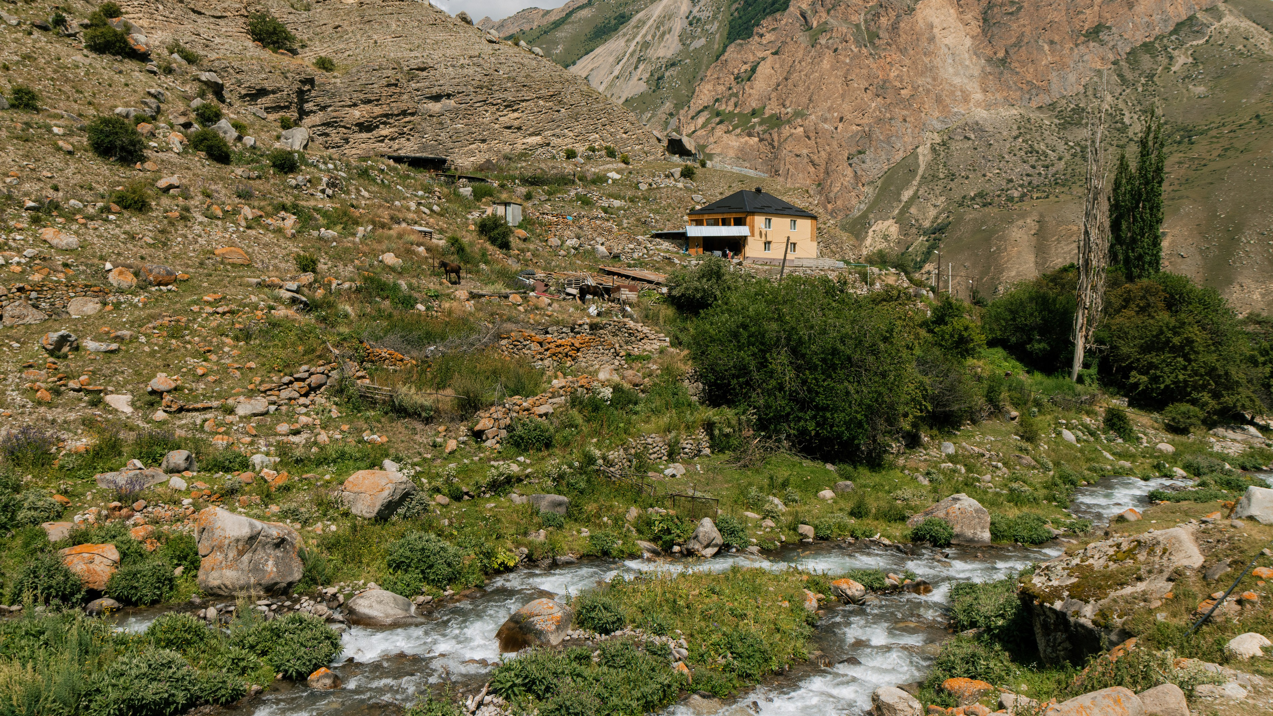 Кавказ'23. Danny Morgunovsky