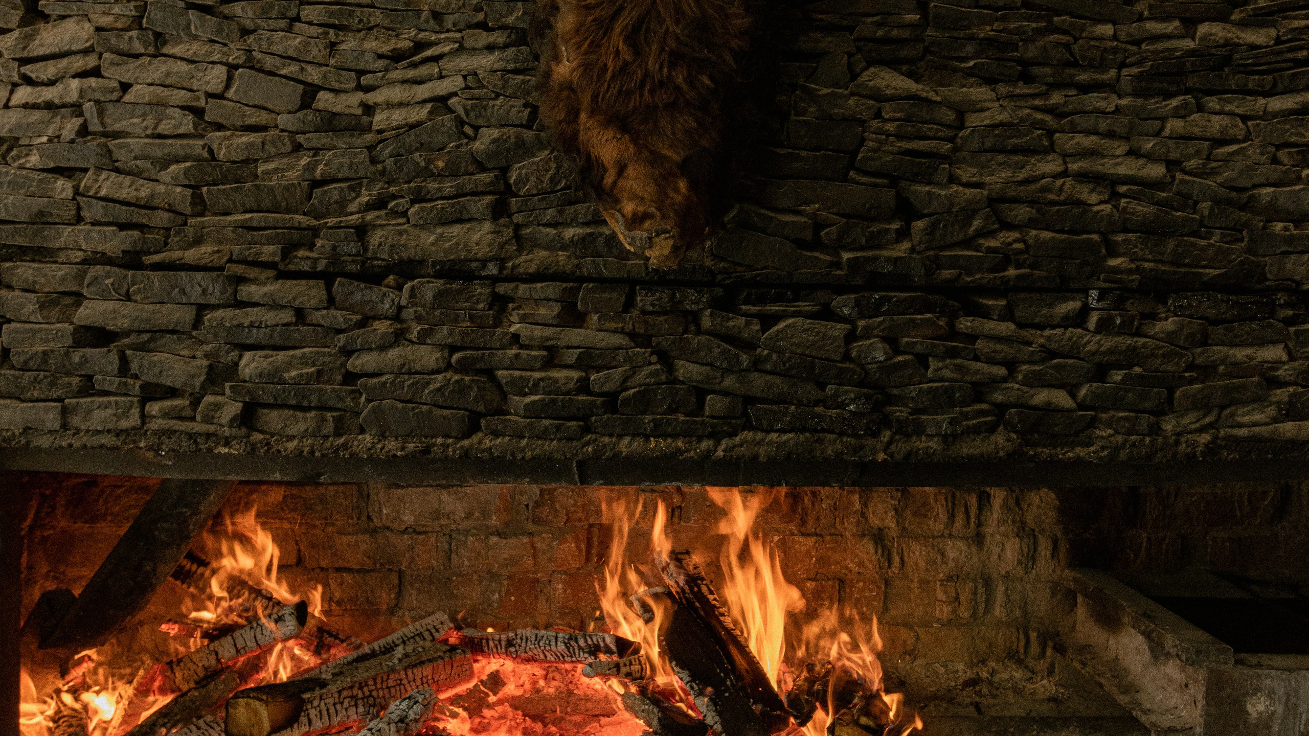 Кавказ'23. Danny Morgunovsky