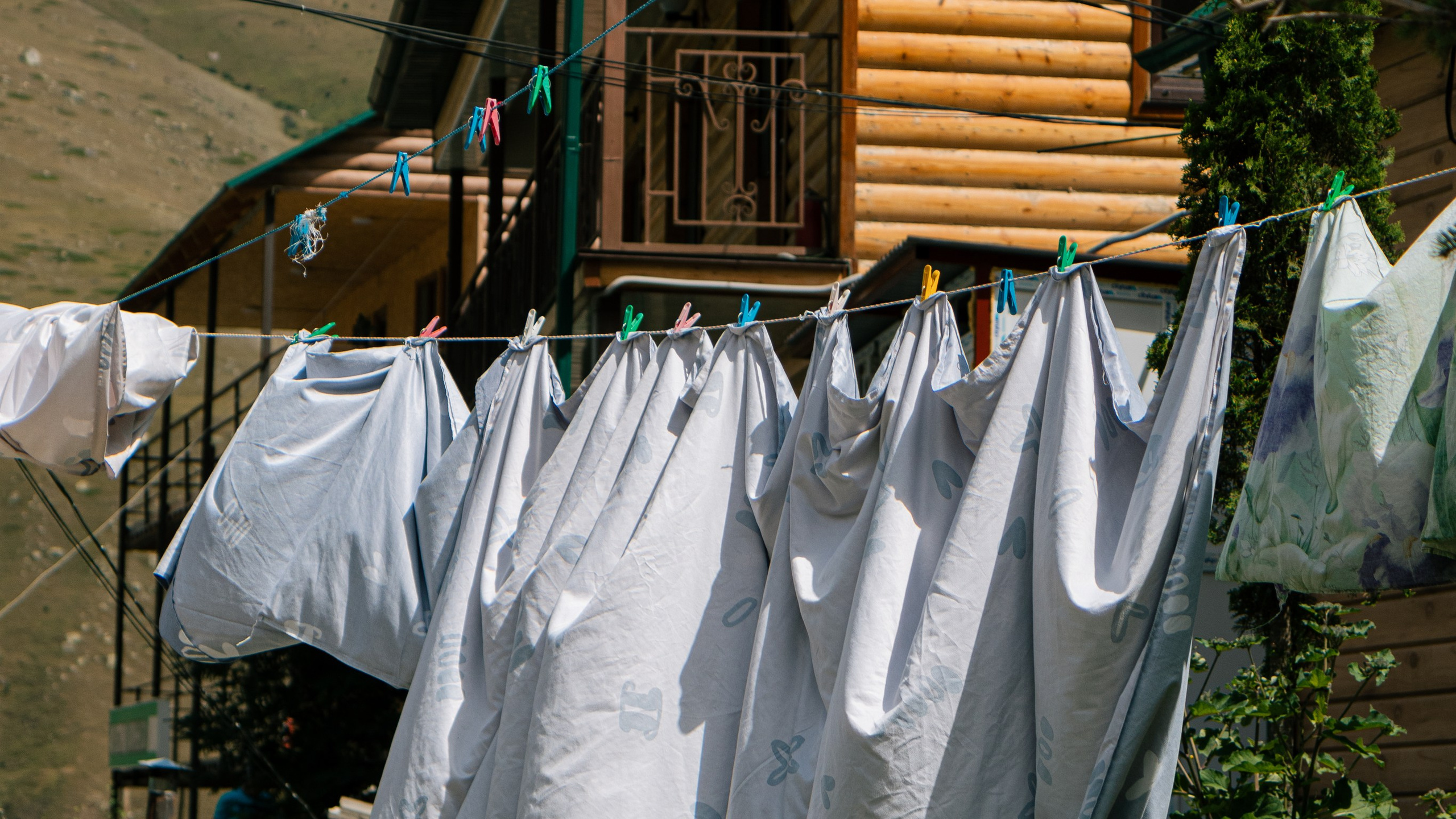 Кавказ'23. Danny Morgunovsky