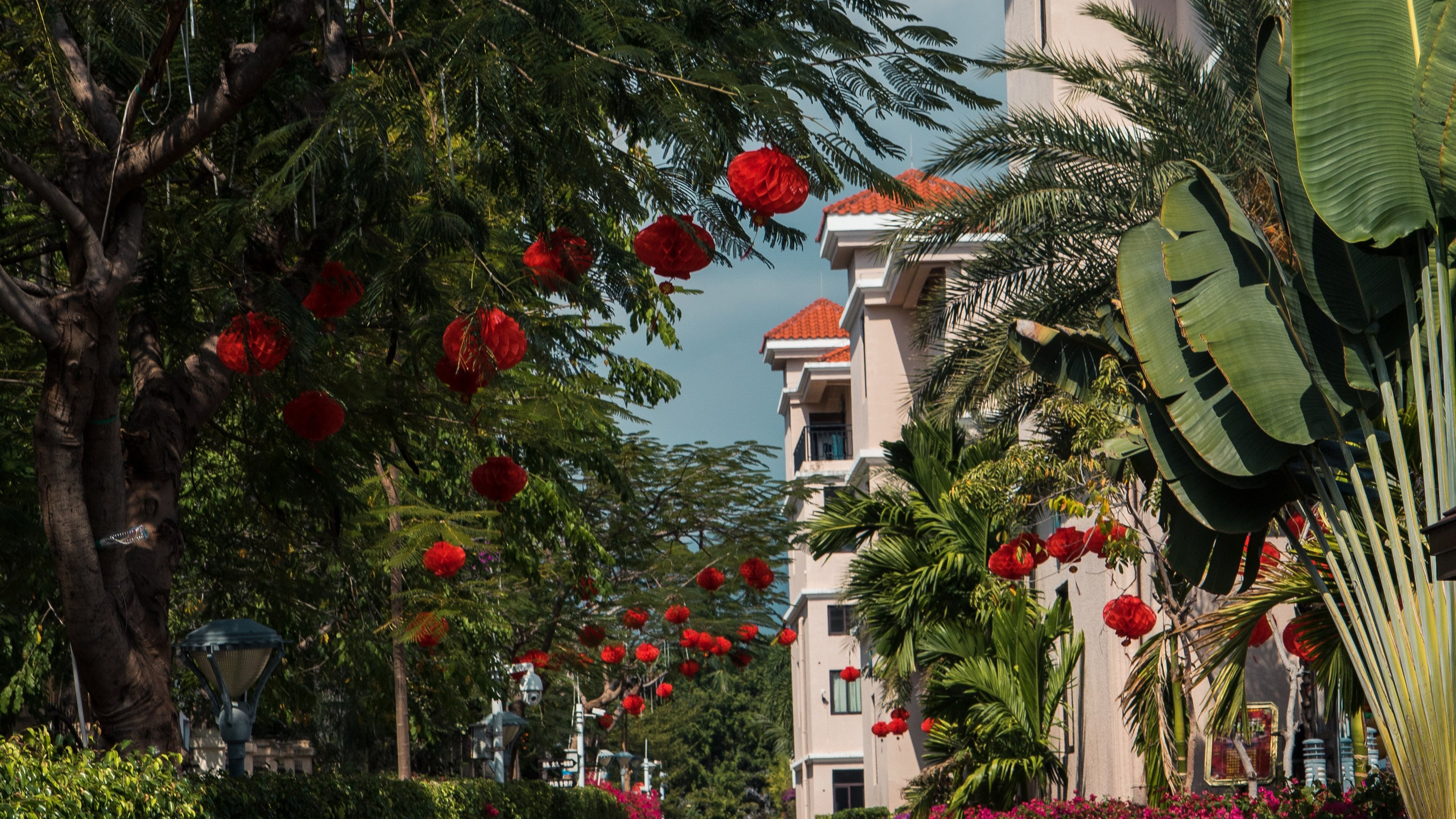 Китай'20. Danny Morgunovsky