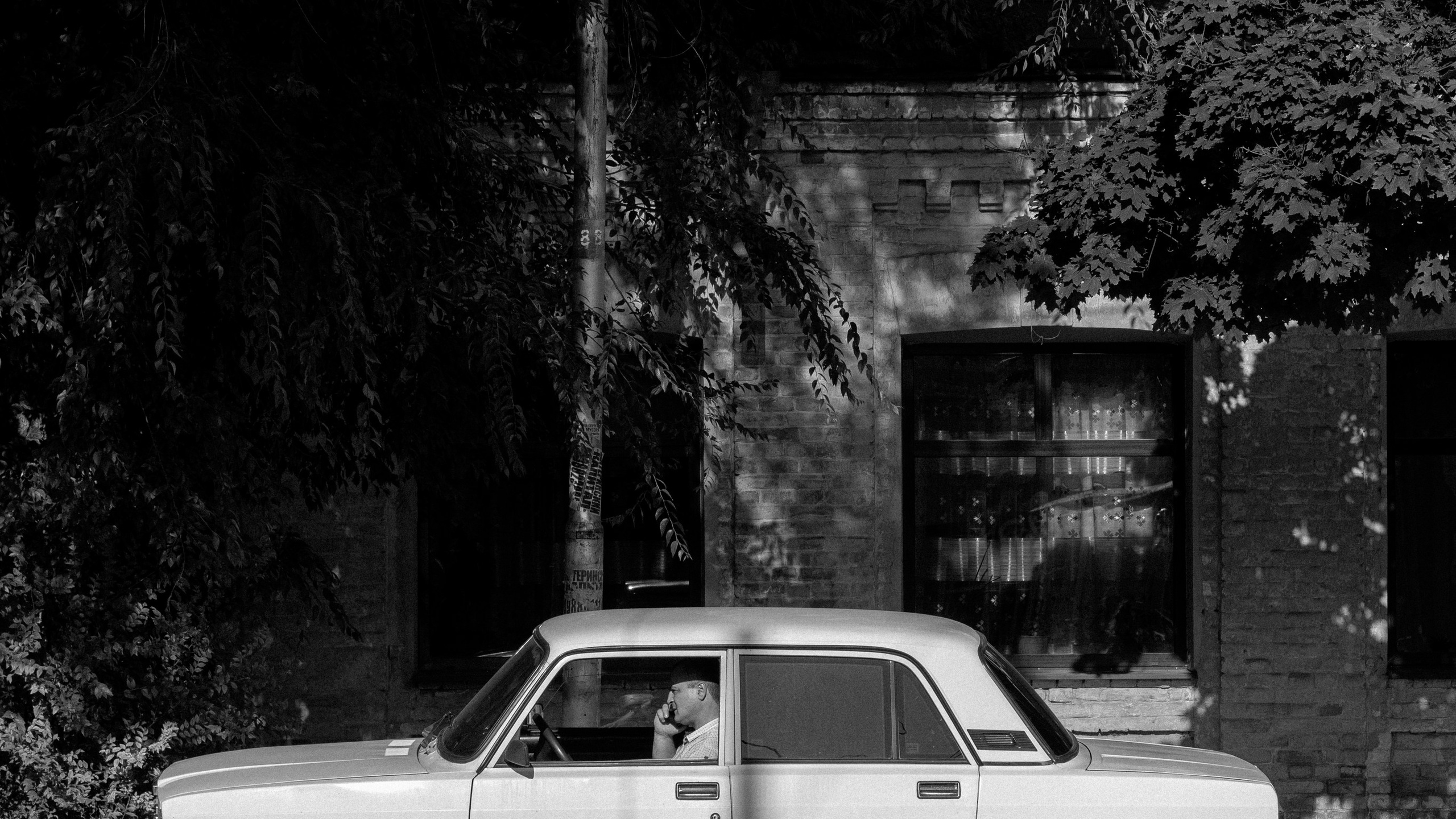 Кавказ'23. Danny Morgunovsky