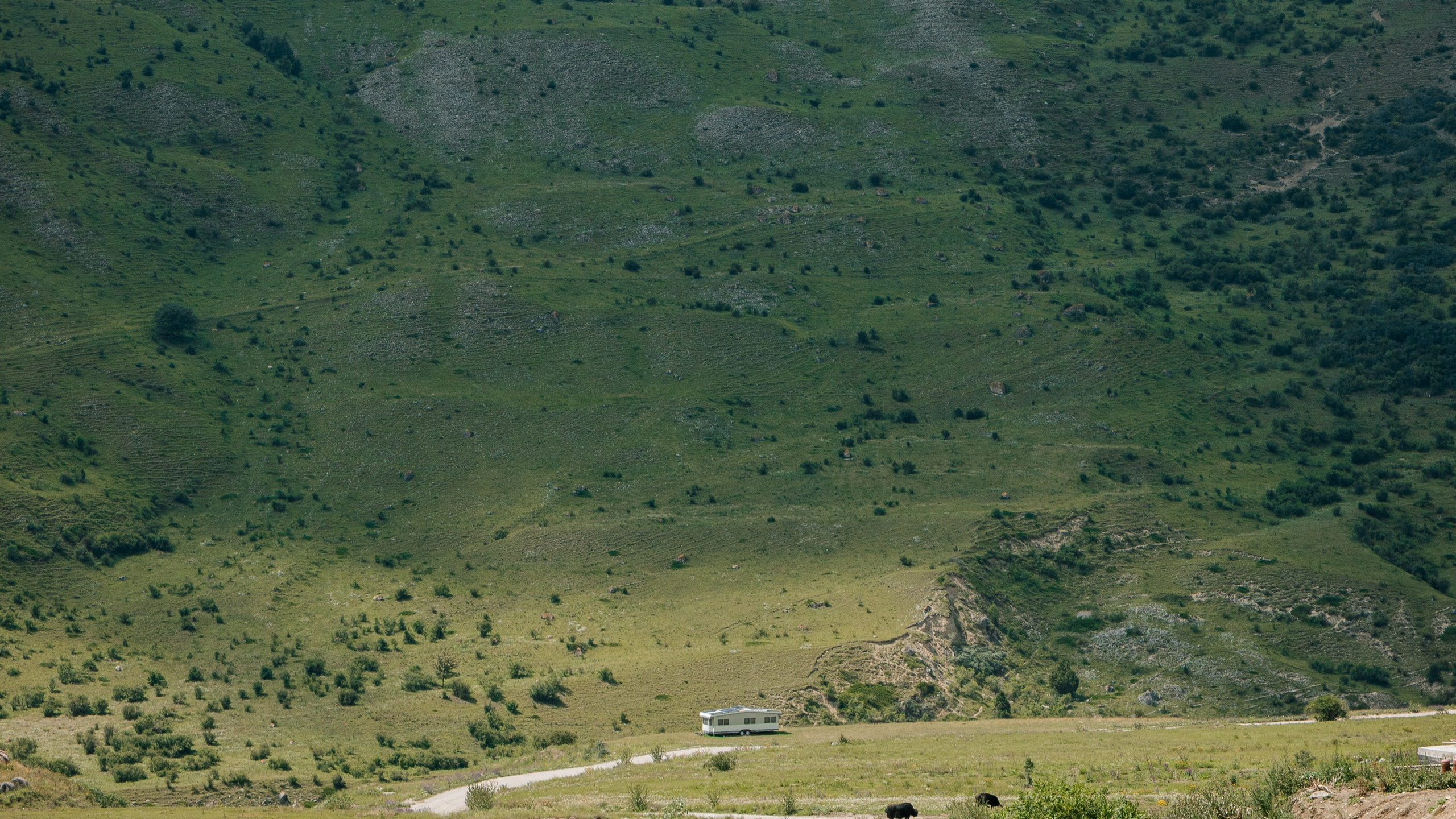 Кавказ'23. Danny Morgunovsky