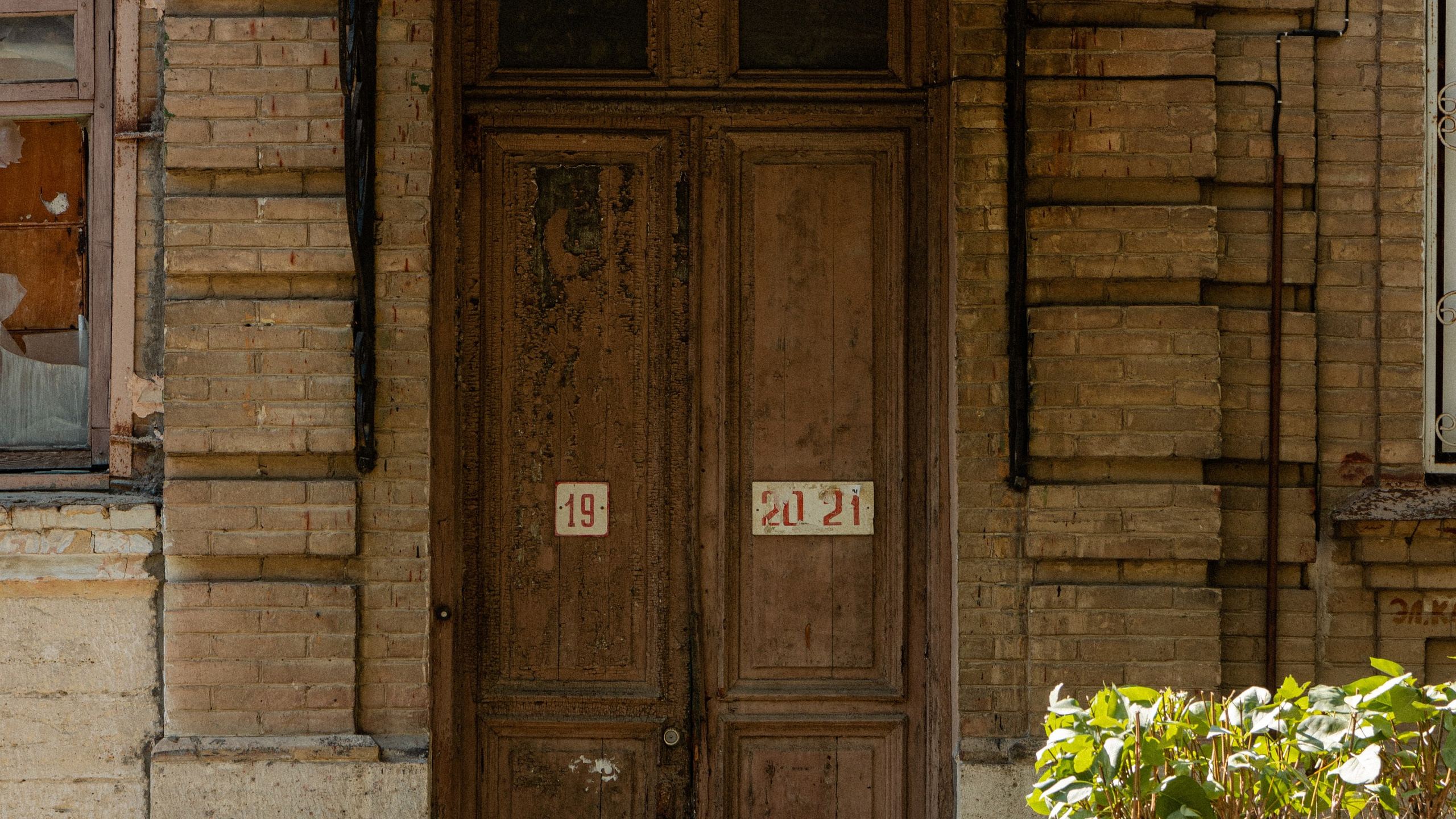 Кавказ'23. Danny Morgunovsky