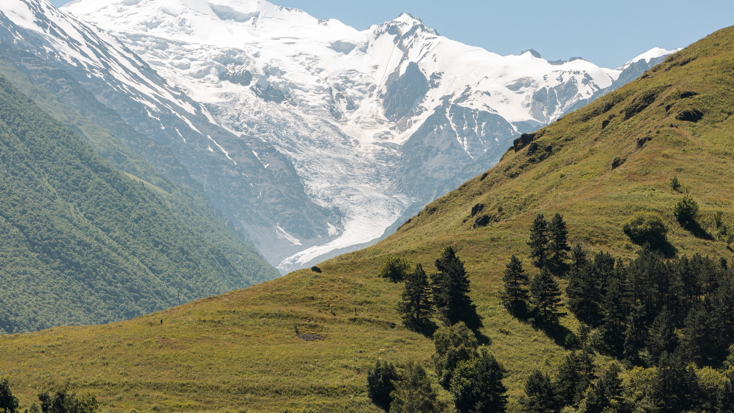 Кавказ'23. Danny Morgunovsky