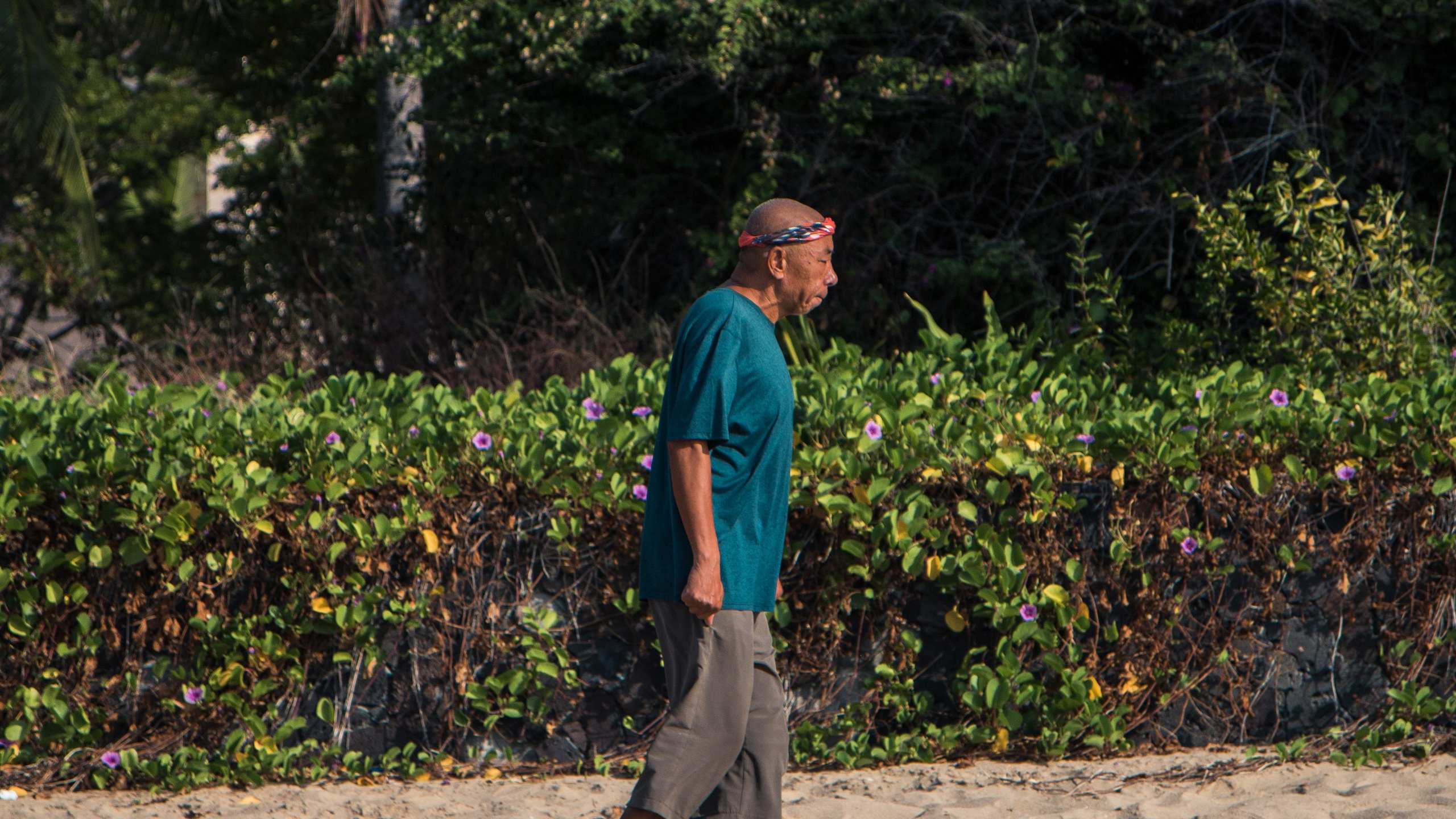 Китай'20. Danny Morgunovsky