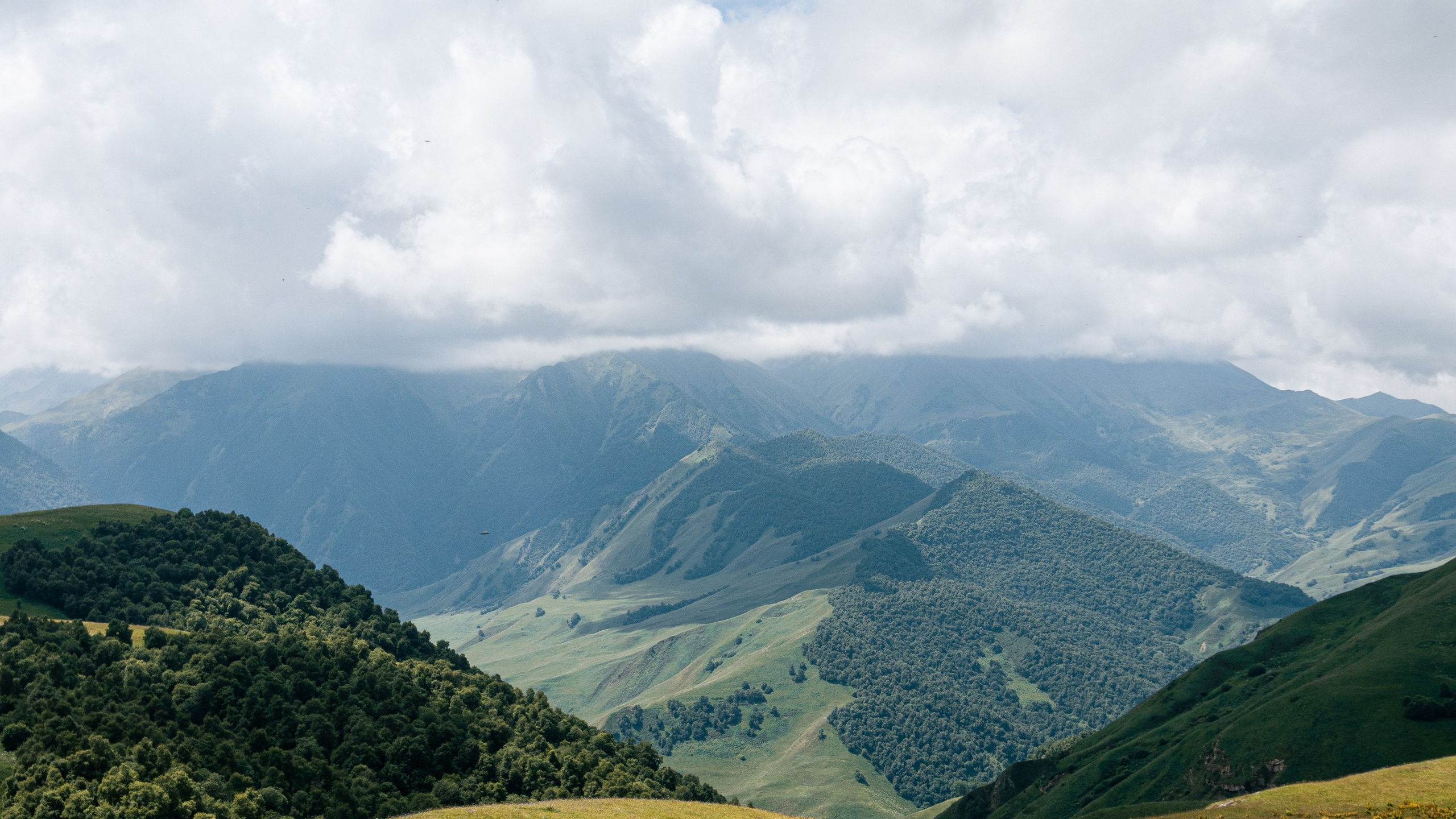 Кавказ'23. Danny Morgunovsky