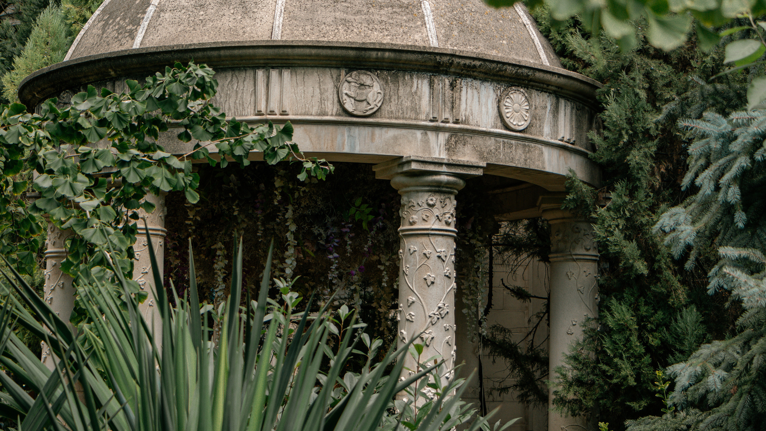 Уличная фотография. Danny Morgunovsky