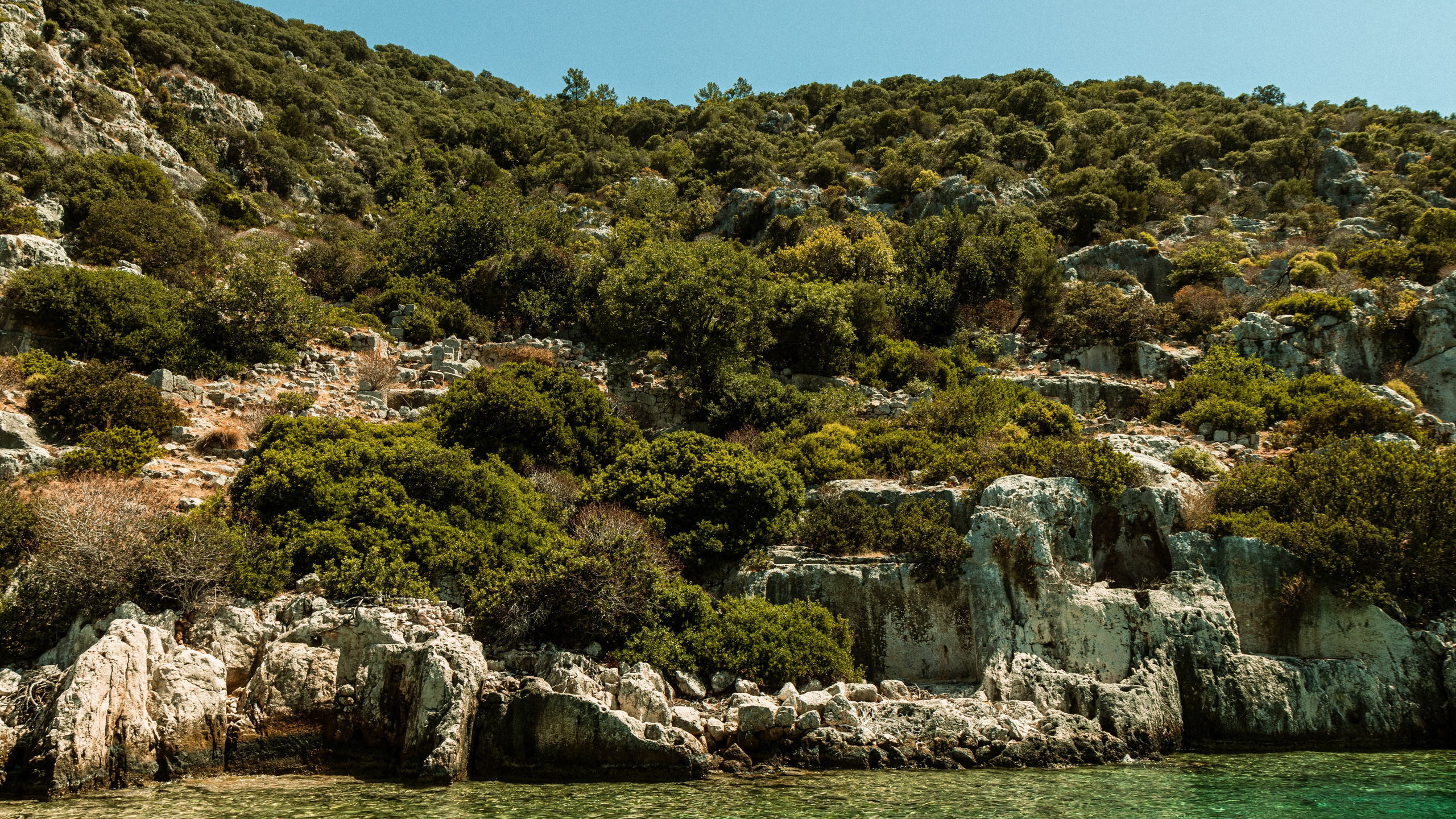 Турция'24. Danny Morgunovsky