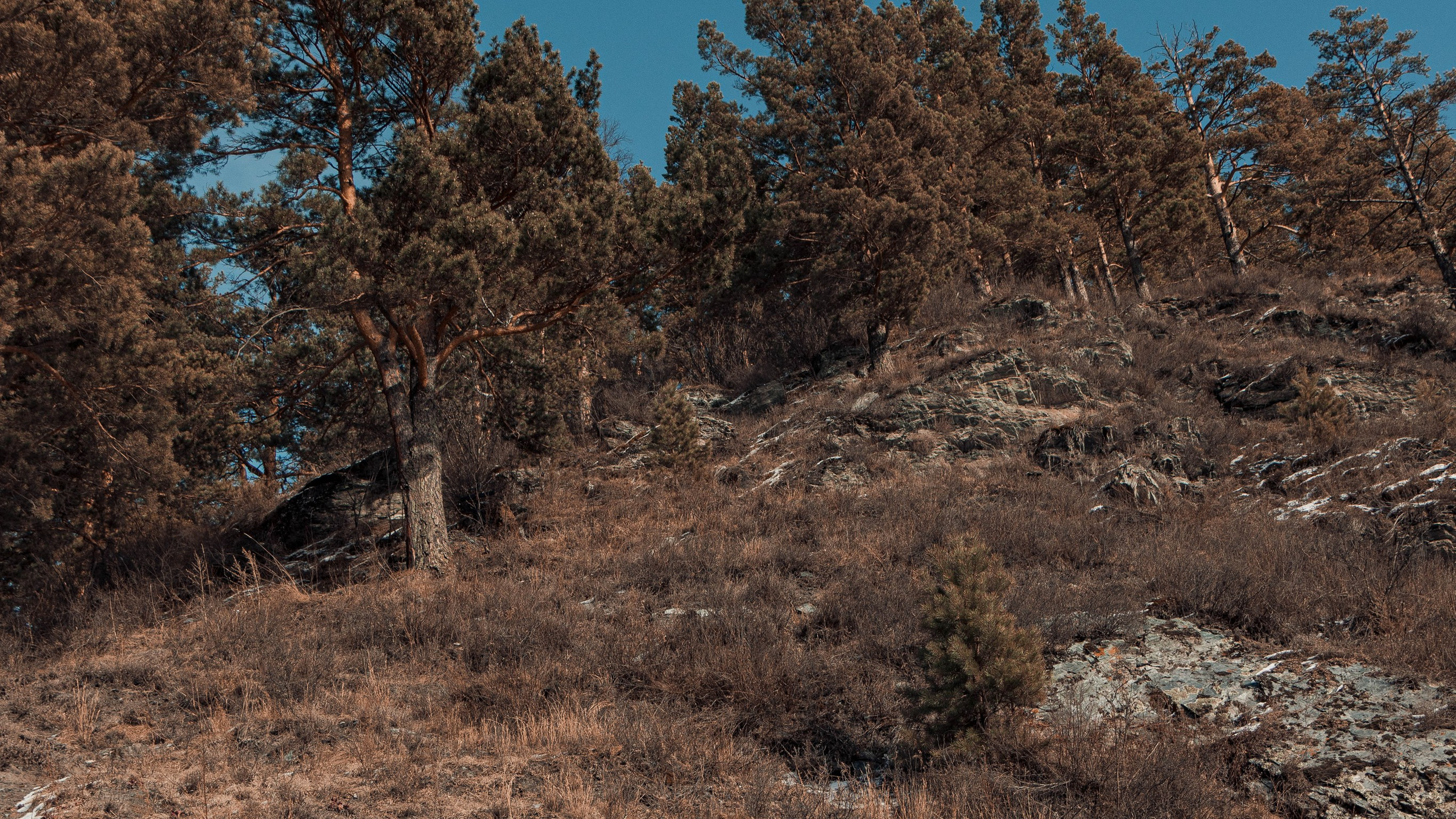 Алтай'21. Danny Morgunovsky