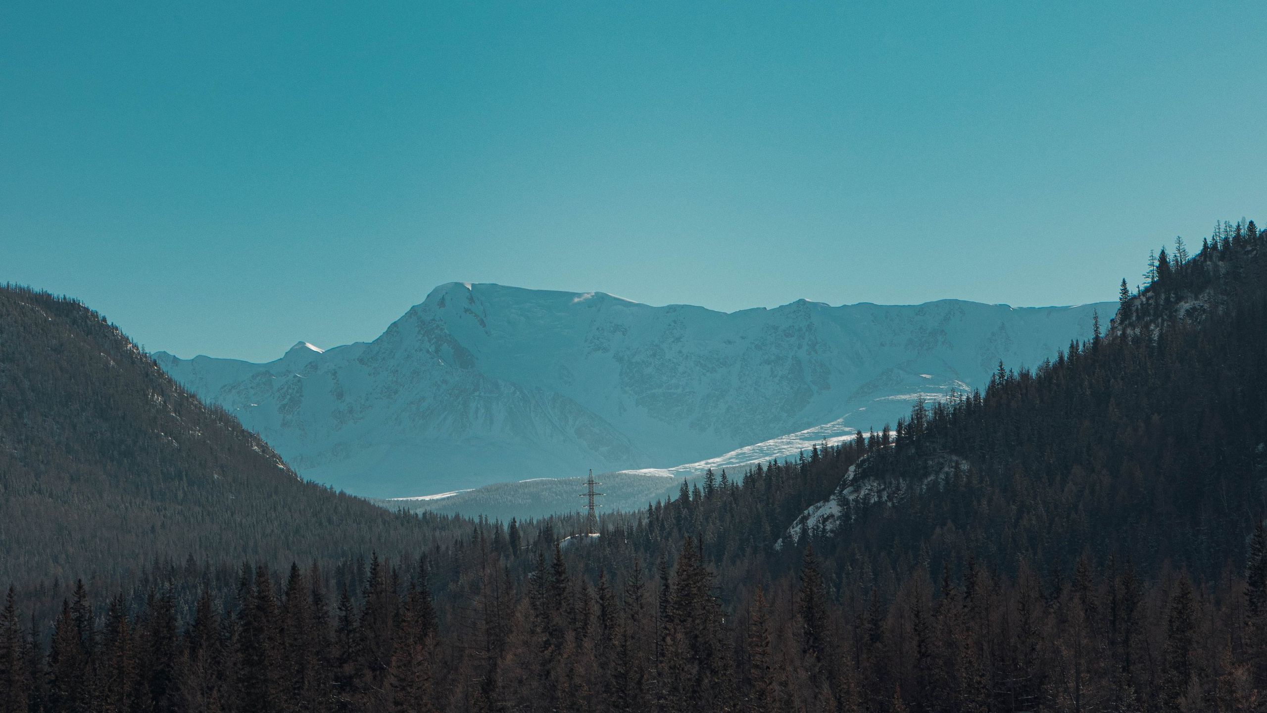 Алтай'21. Danny Morgunovsky