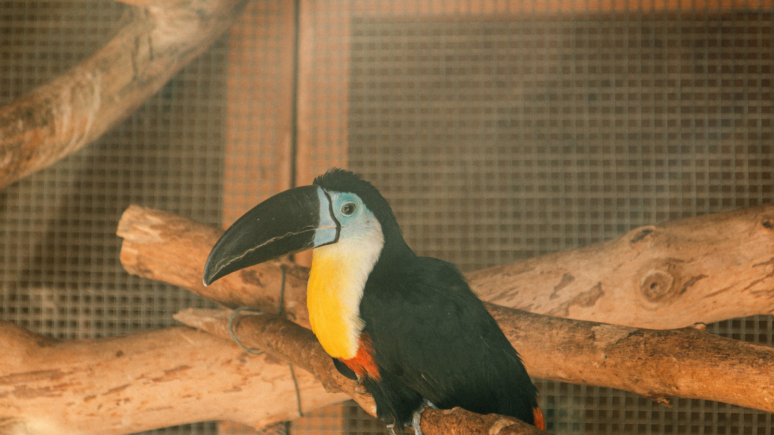 Геленджик'22. Danny Morgunovsky