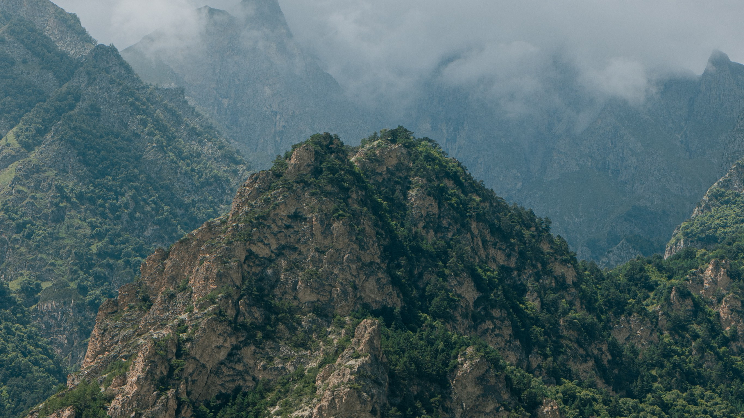 Природа. Danny Morgunovsky