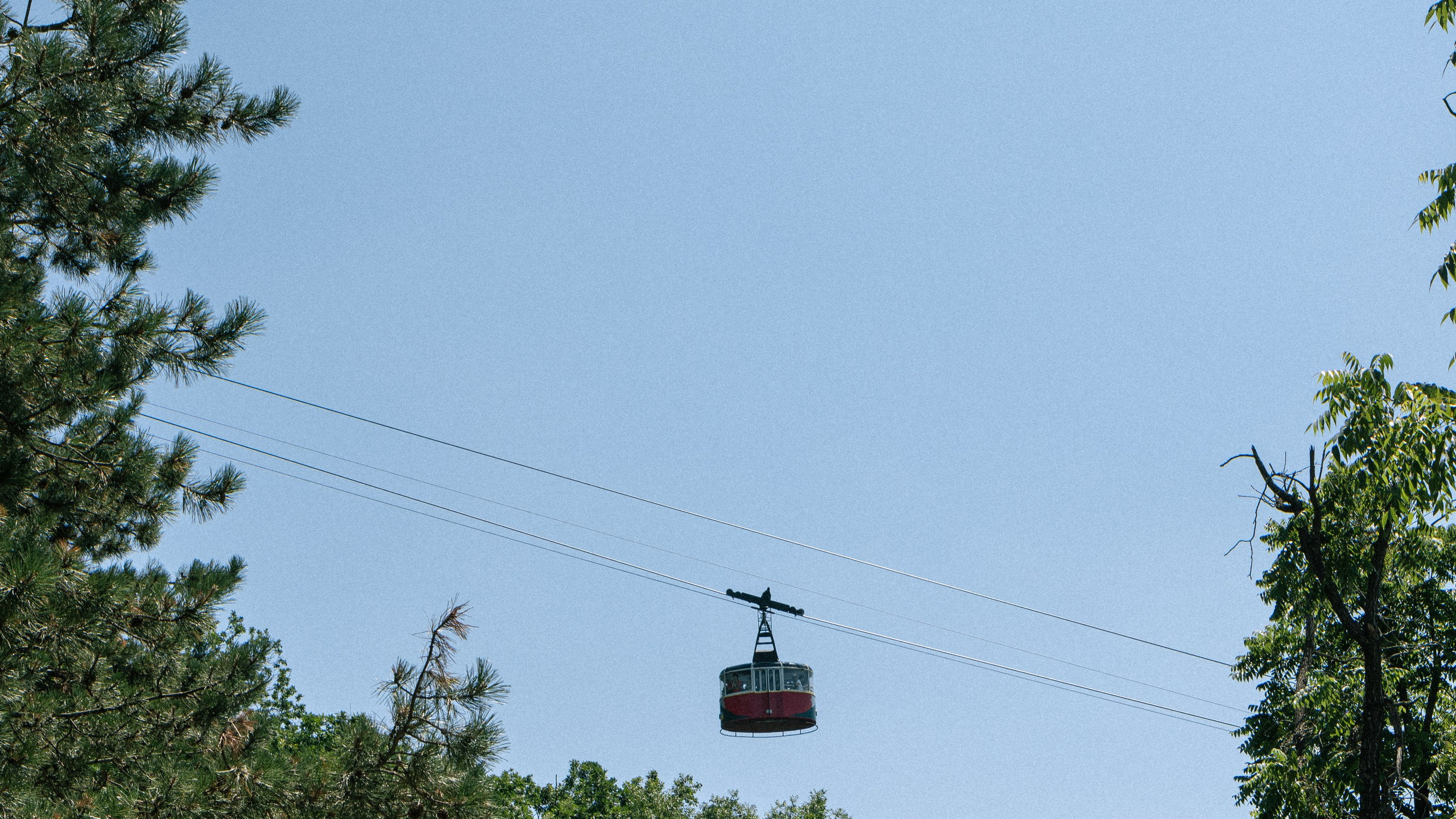 Кавказ'23. Danny Morgunovsky