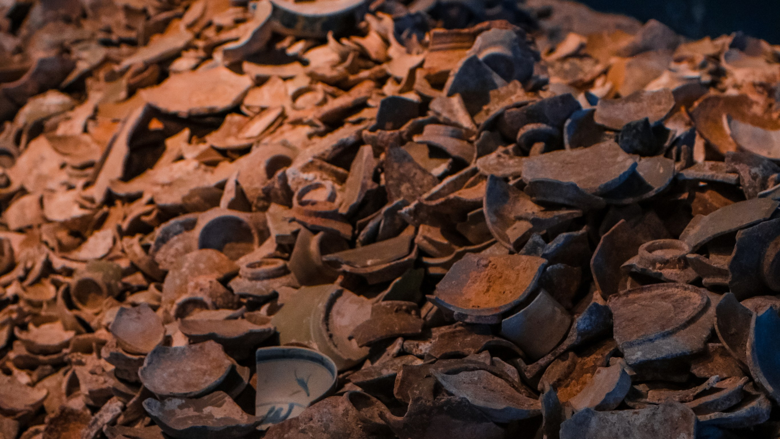 Китай'20. Danny Morgunovsky