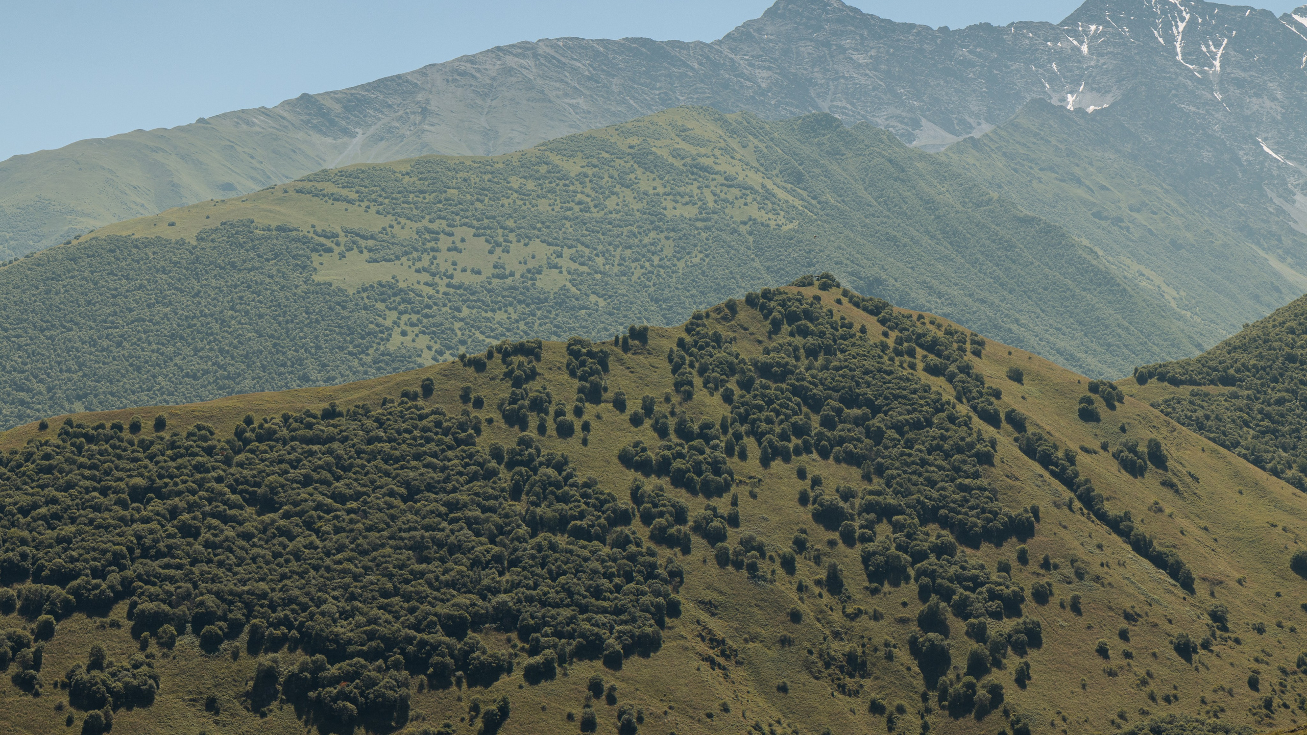 Кавказ'23. Danny Morgunovsky