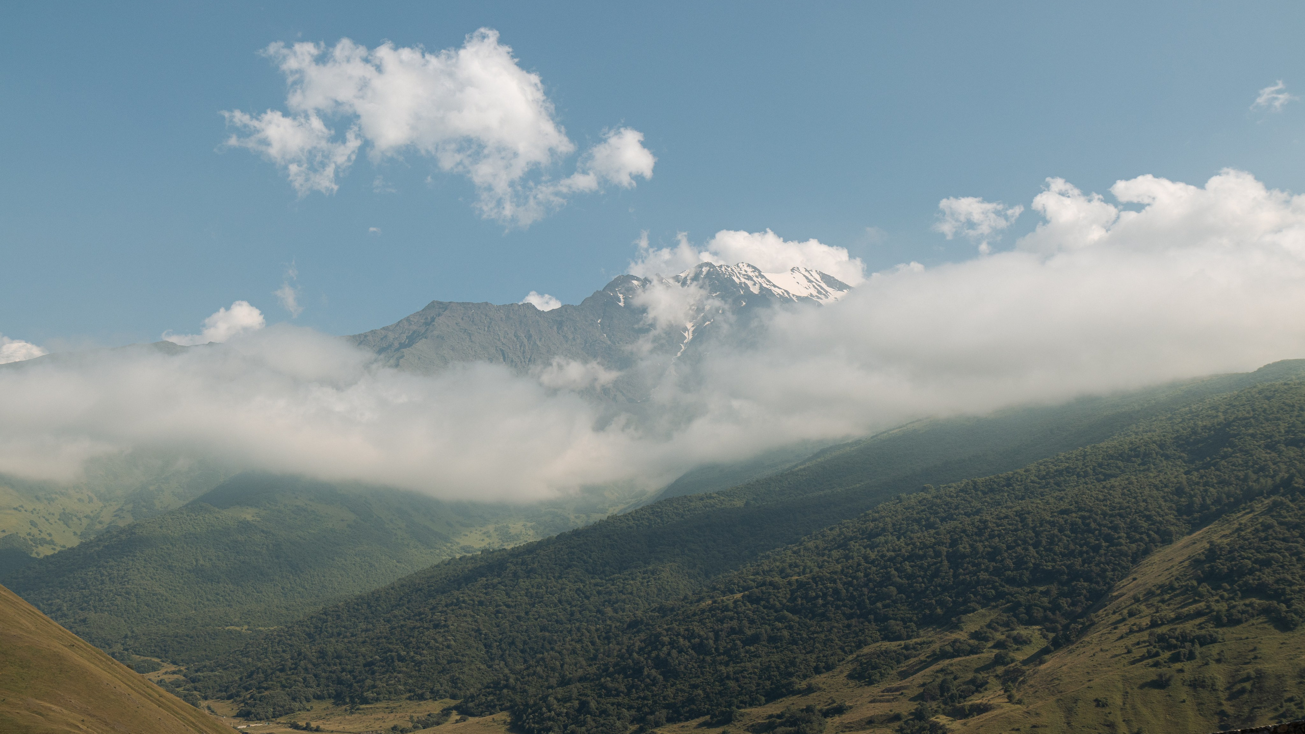 Кавказ'23. Danny Morgunovsky