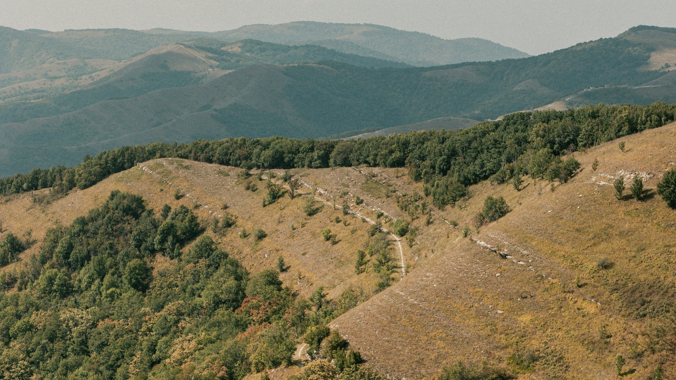 Геленджик'22. Danny Morgunovsky