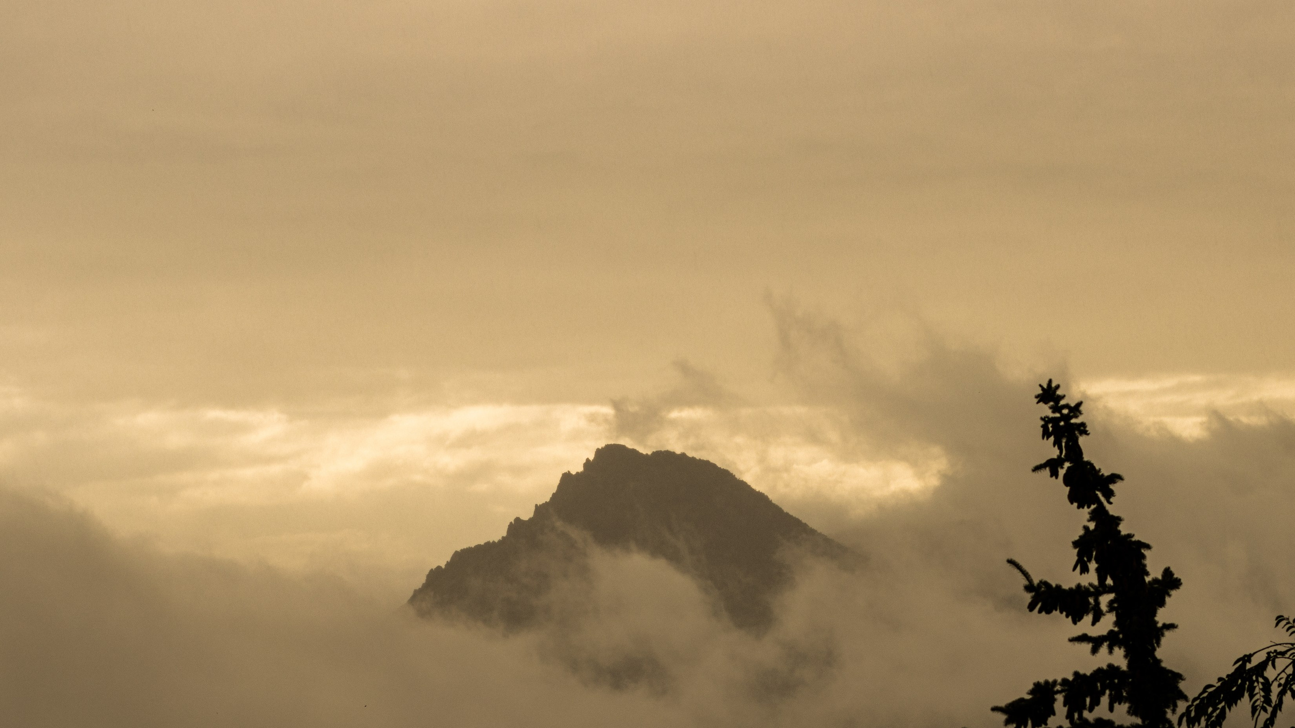 Природа. Danny Morgunovsky