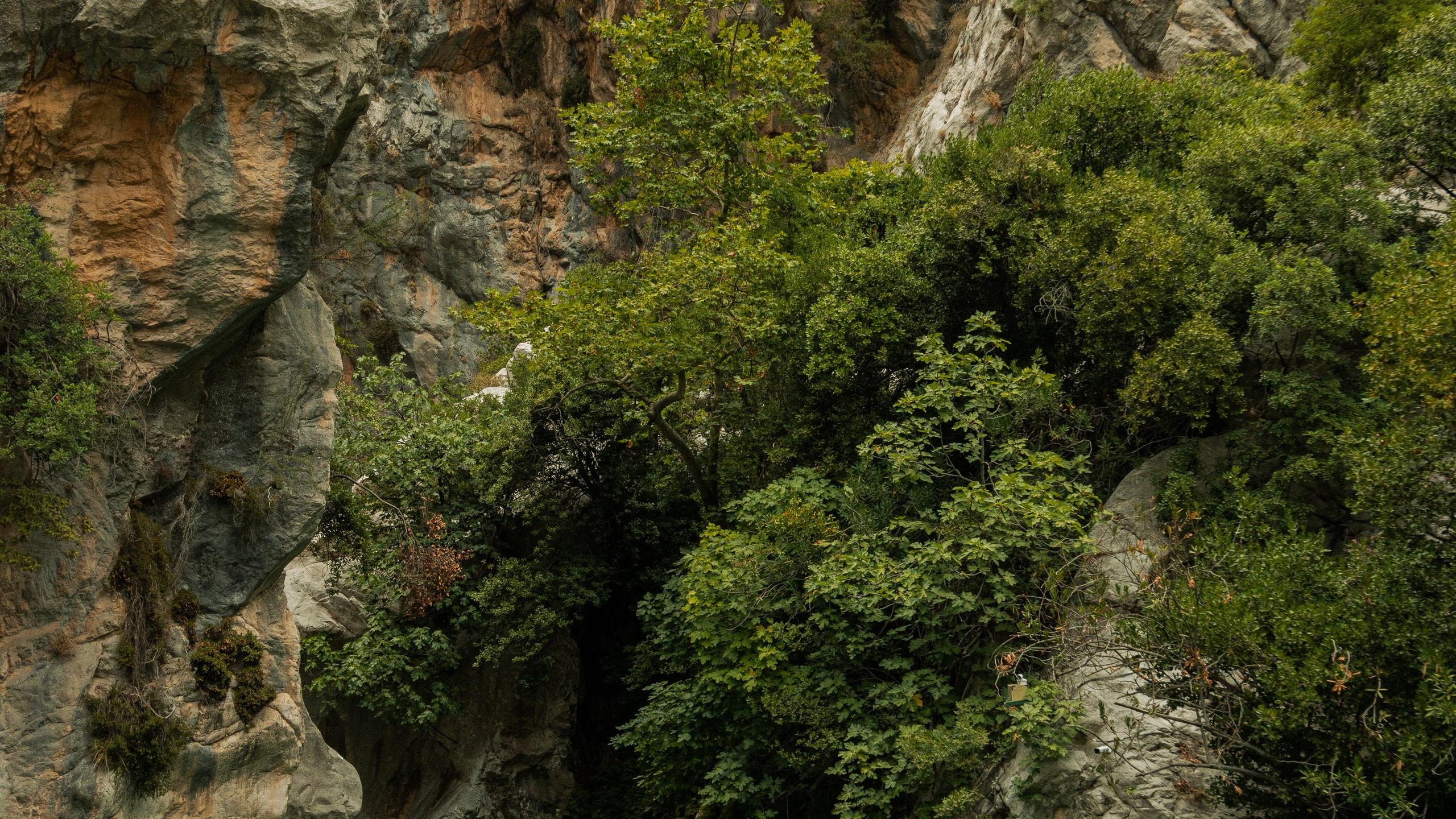 Турция'24. Danny Morgunovsky