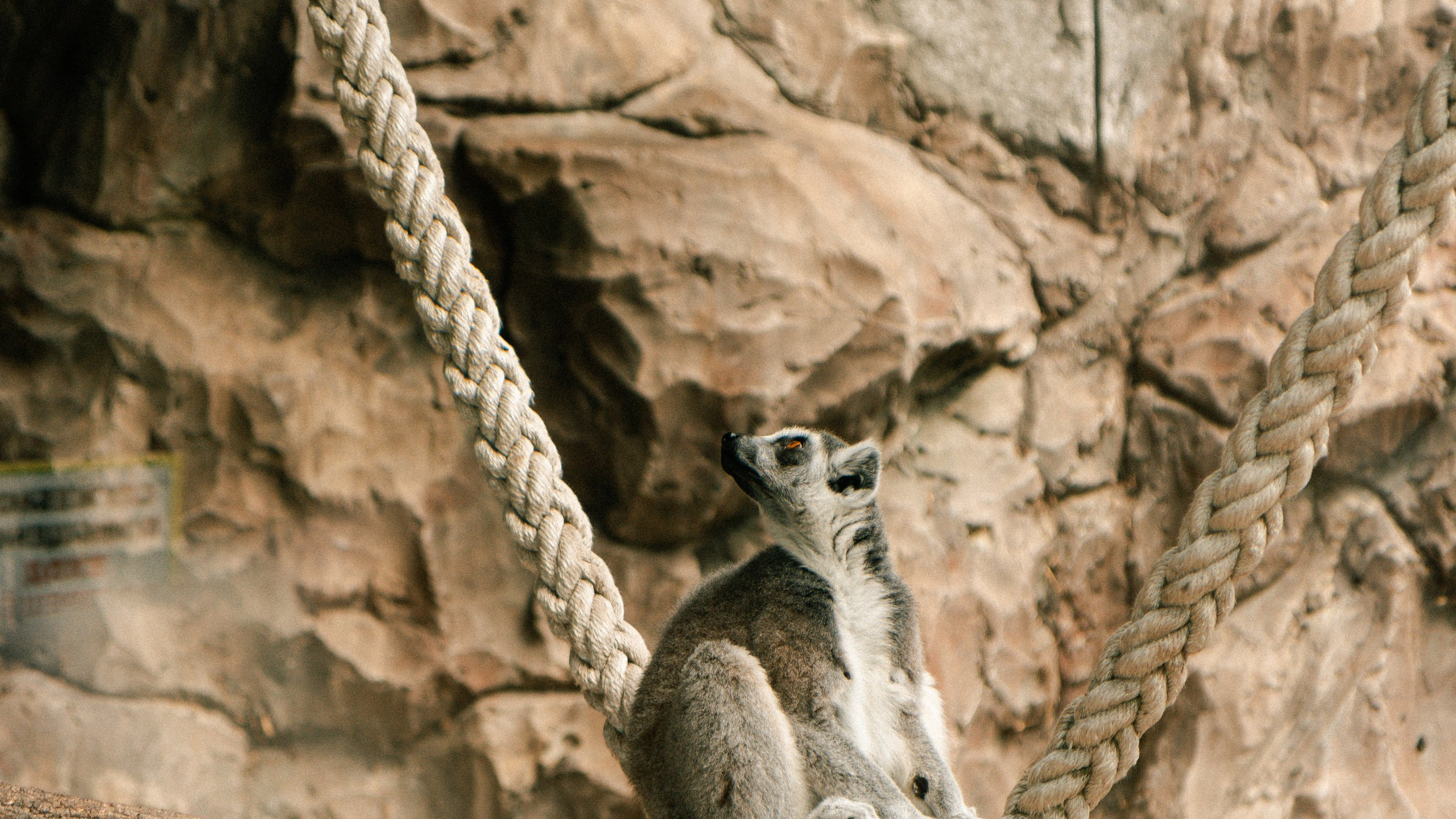 Геленджик'22. Danny Morgunovsky