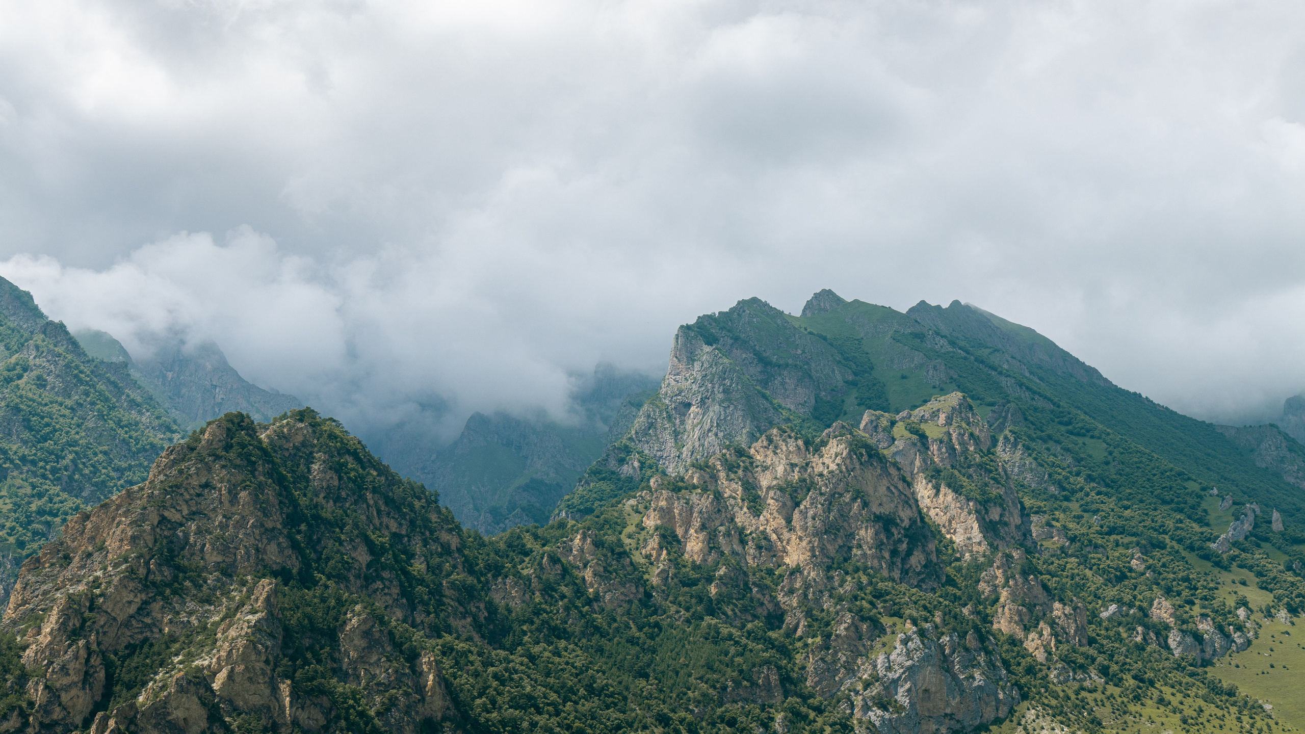 Природа. Danny Morgunovsky