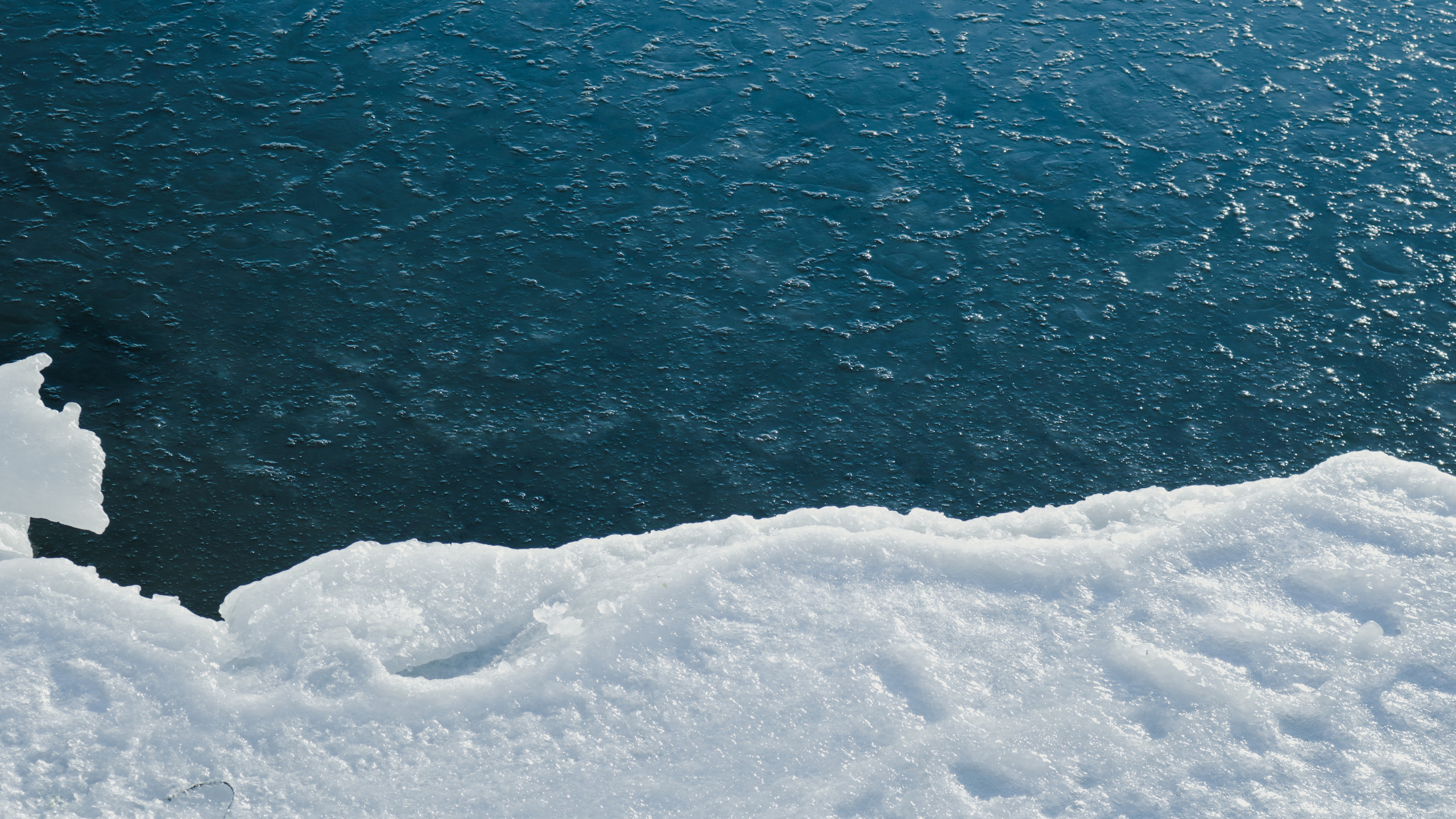 Природа. Danny Morgunovsky