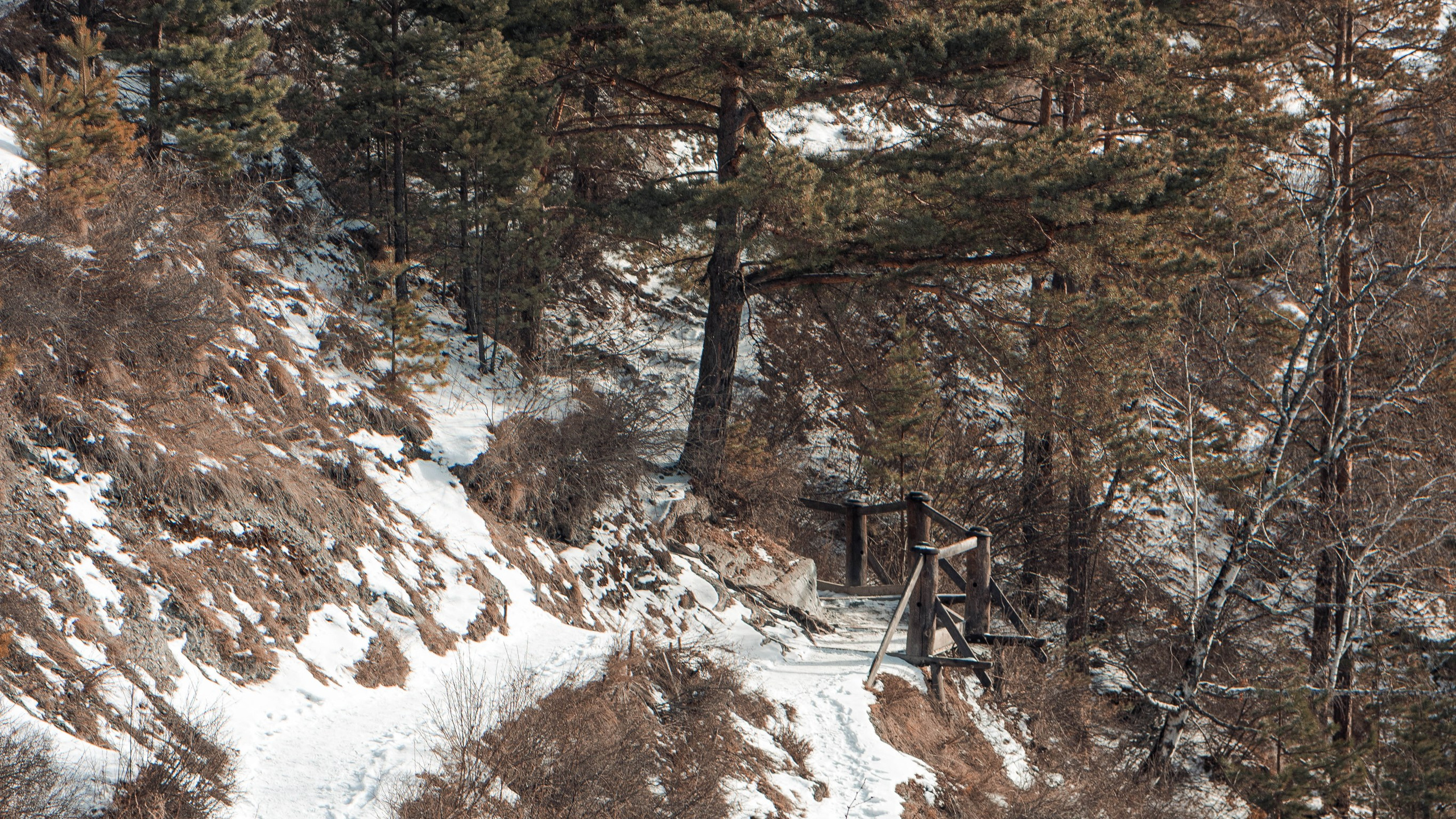 Алтай'21. Danny Morgunovsky