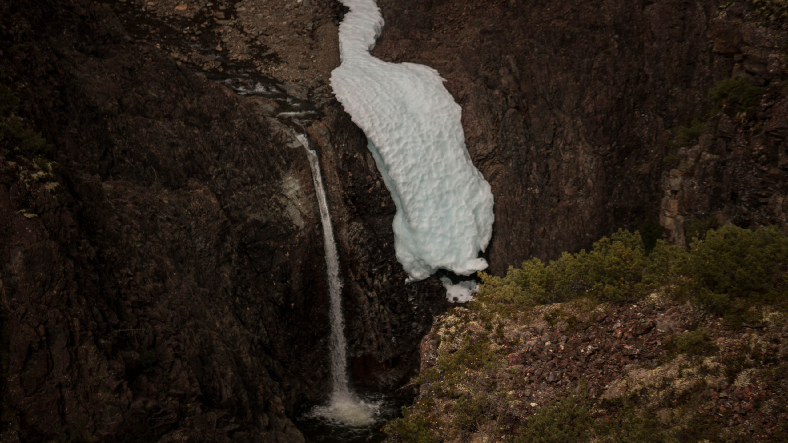 Природа. Danny Morgunovsky