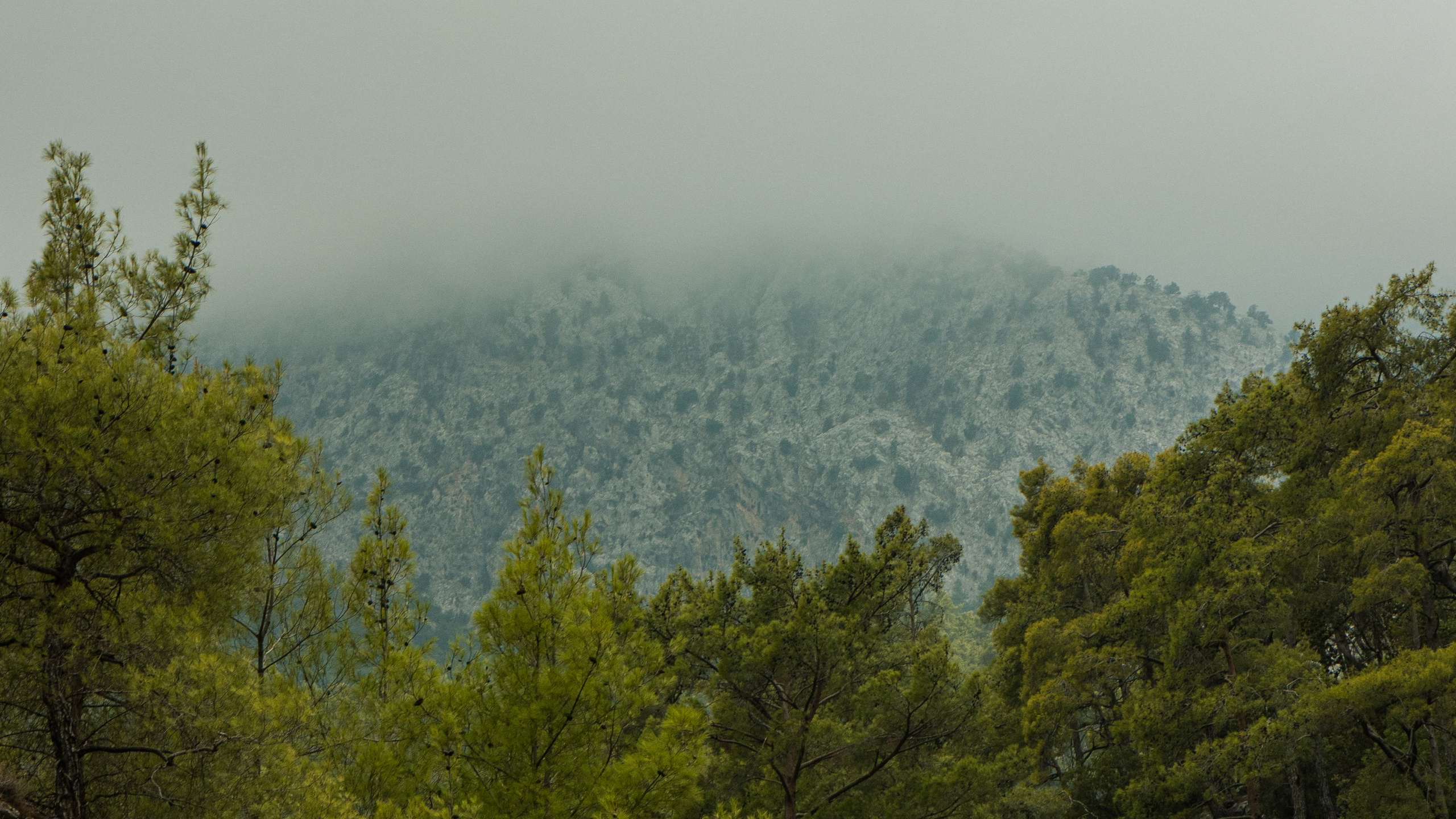 Турция'24. Danny Morgunovsky