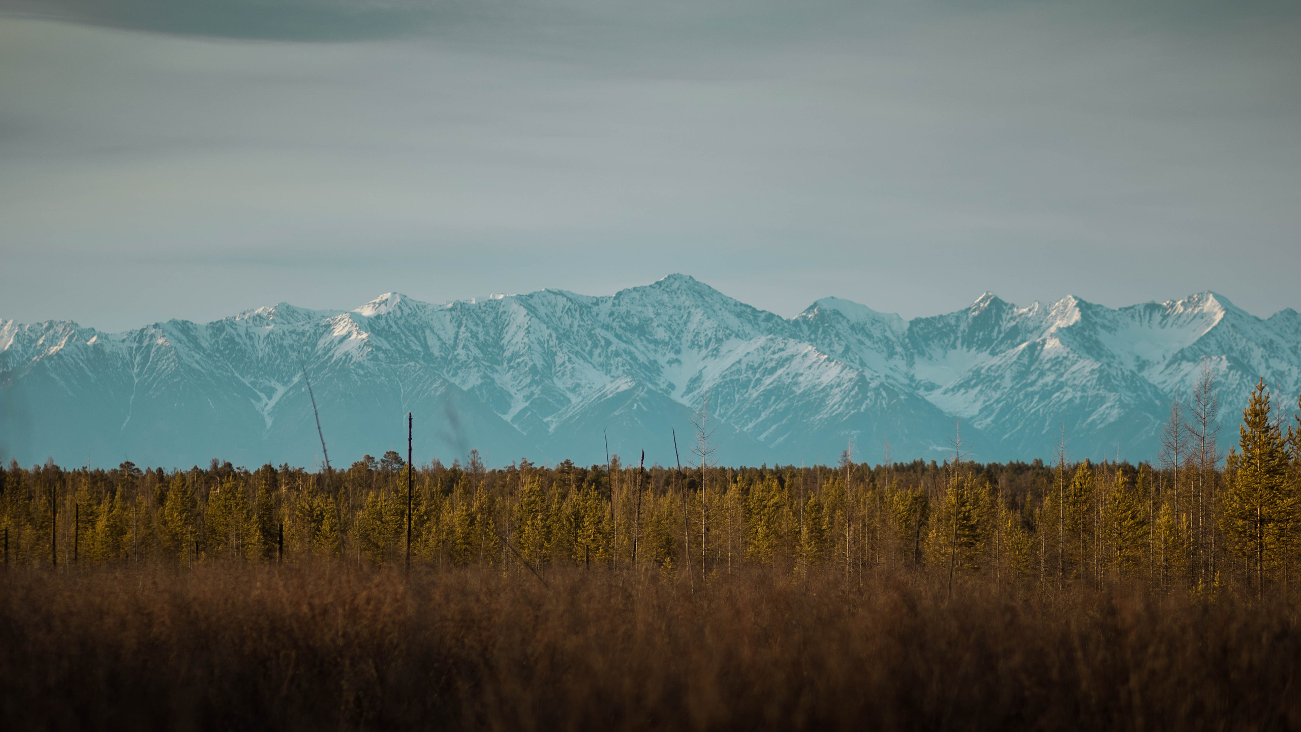 Природа. Danny Morgunovsky