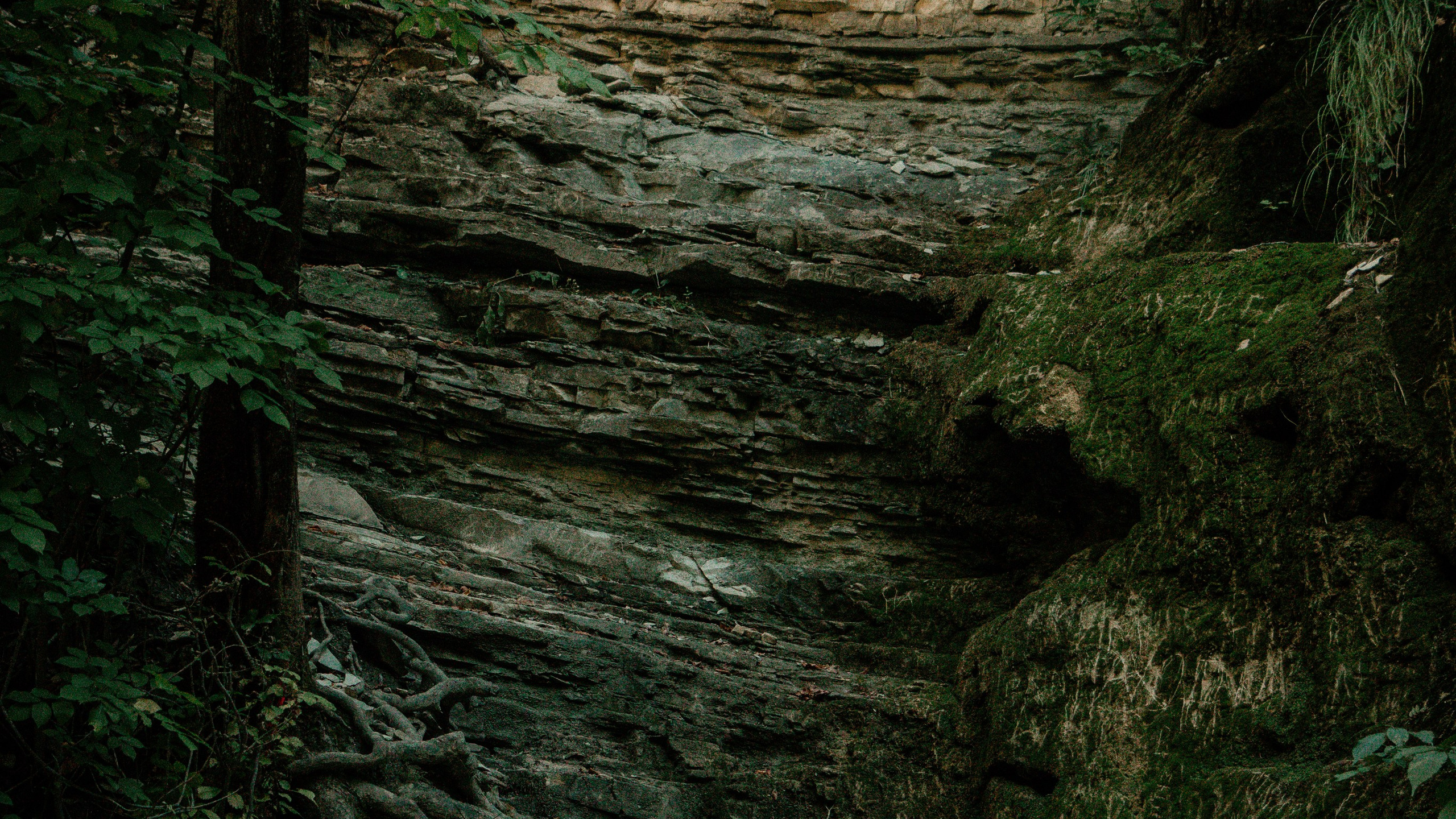 Геленджик'22. Danny Morgunovsky